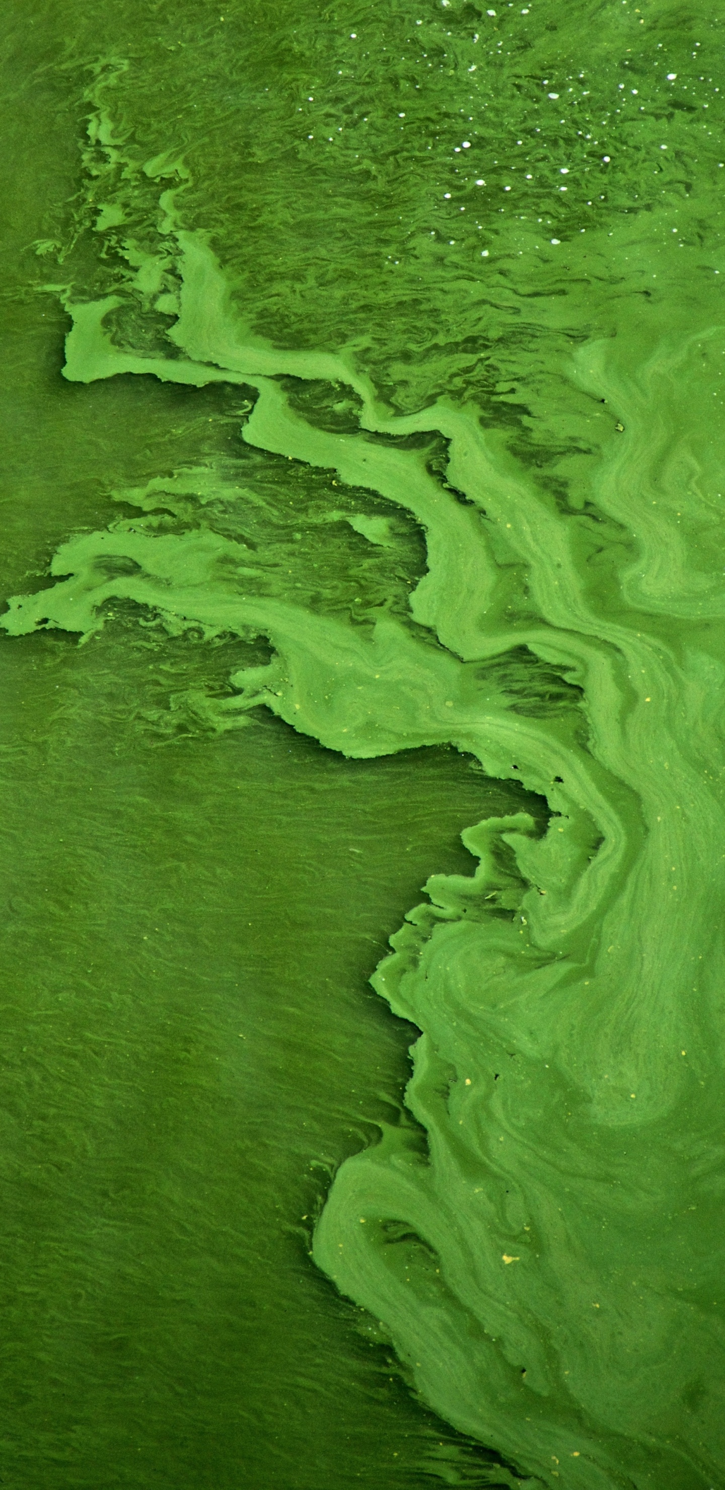 Vista Aerea de Agua Verde. Wallpaper in 1440x2960 Resolution