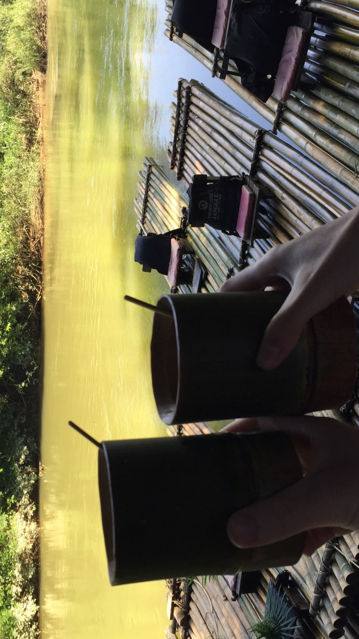 Baum, Sonnenlicht, Fuß. Wallpaper in 720x1280 Resolution