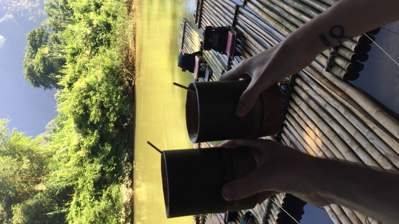 Tree, Sunlight, Foot. Wallpaper in 1280x720 Resolution