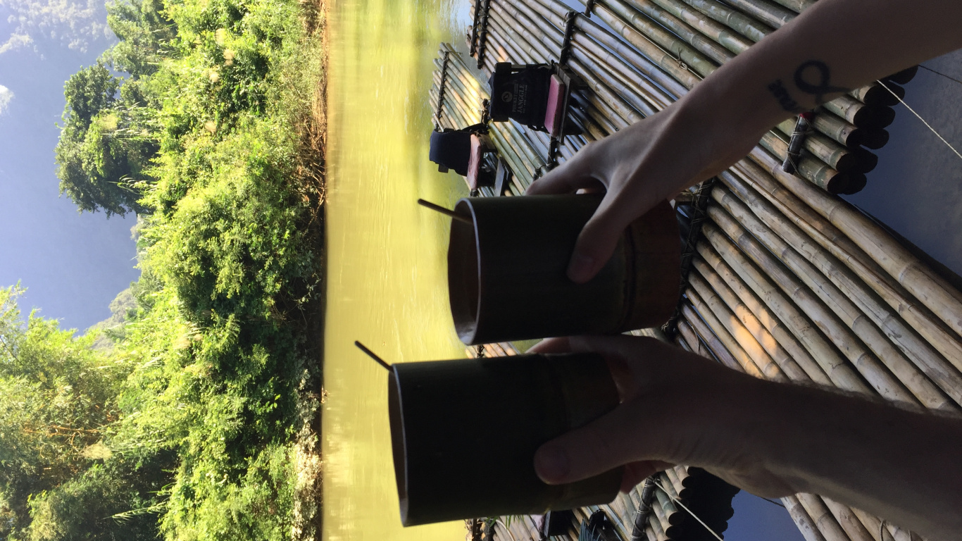 Tree, Sunlight, Foot. Wallpaper in 1366x768 Resolution