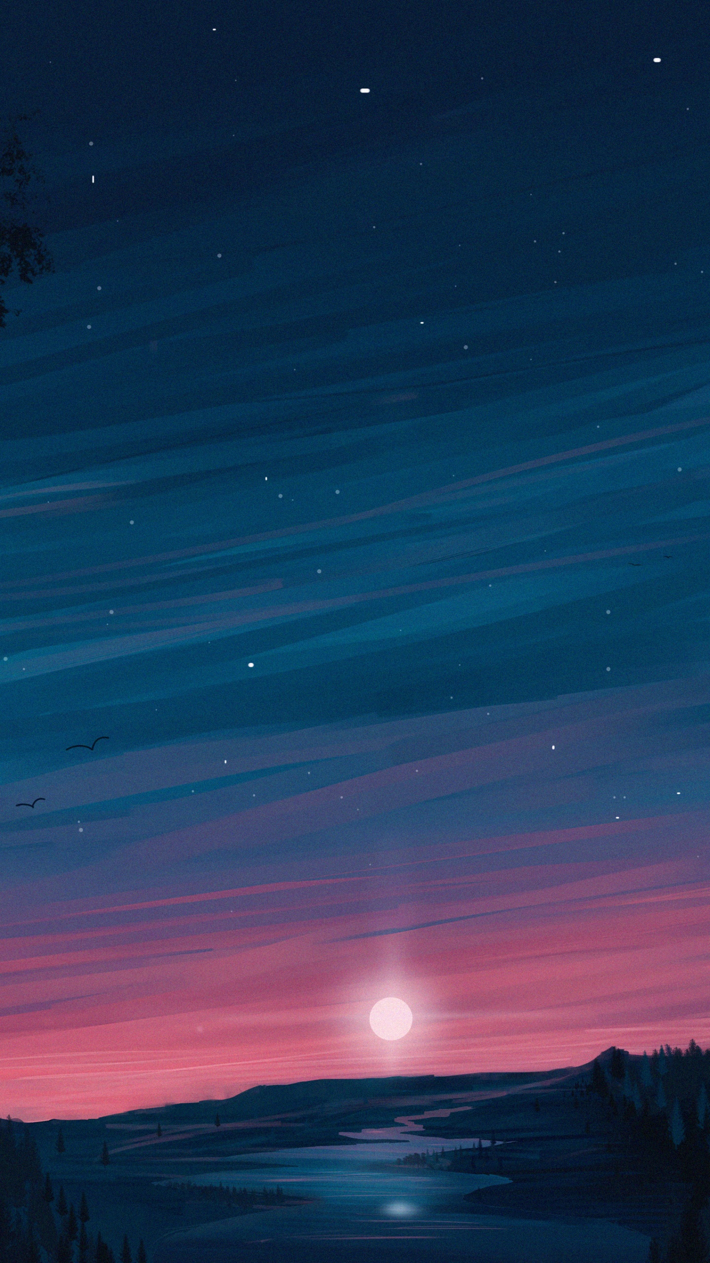 Silueta de Árboles Durante la Puesta de Sol. Wallpaper in 1440x2560 Resolution