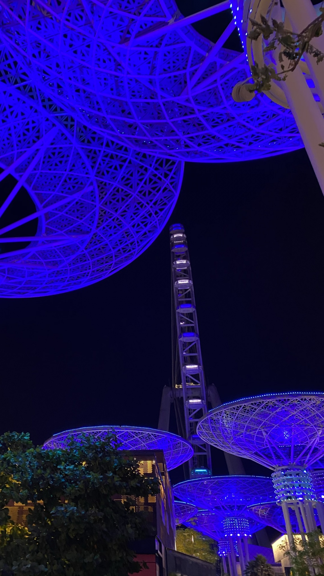 Singapour, Bleu Majorelle, Blue, Nuit, Purple. Wallpaper in 1080x1920 Resolution