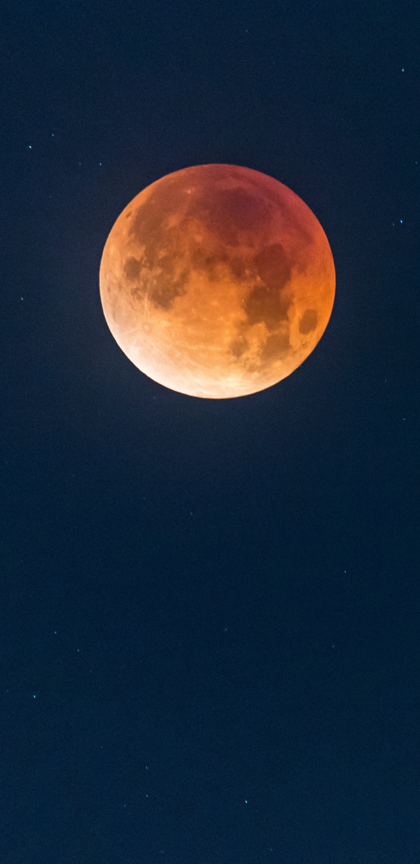 Pleine Lune Dans le Ciel Nocturne. Wallpaper in 1440x2960 Resolution