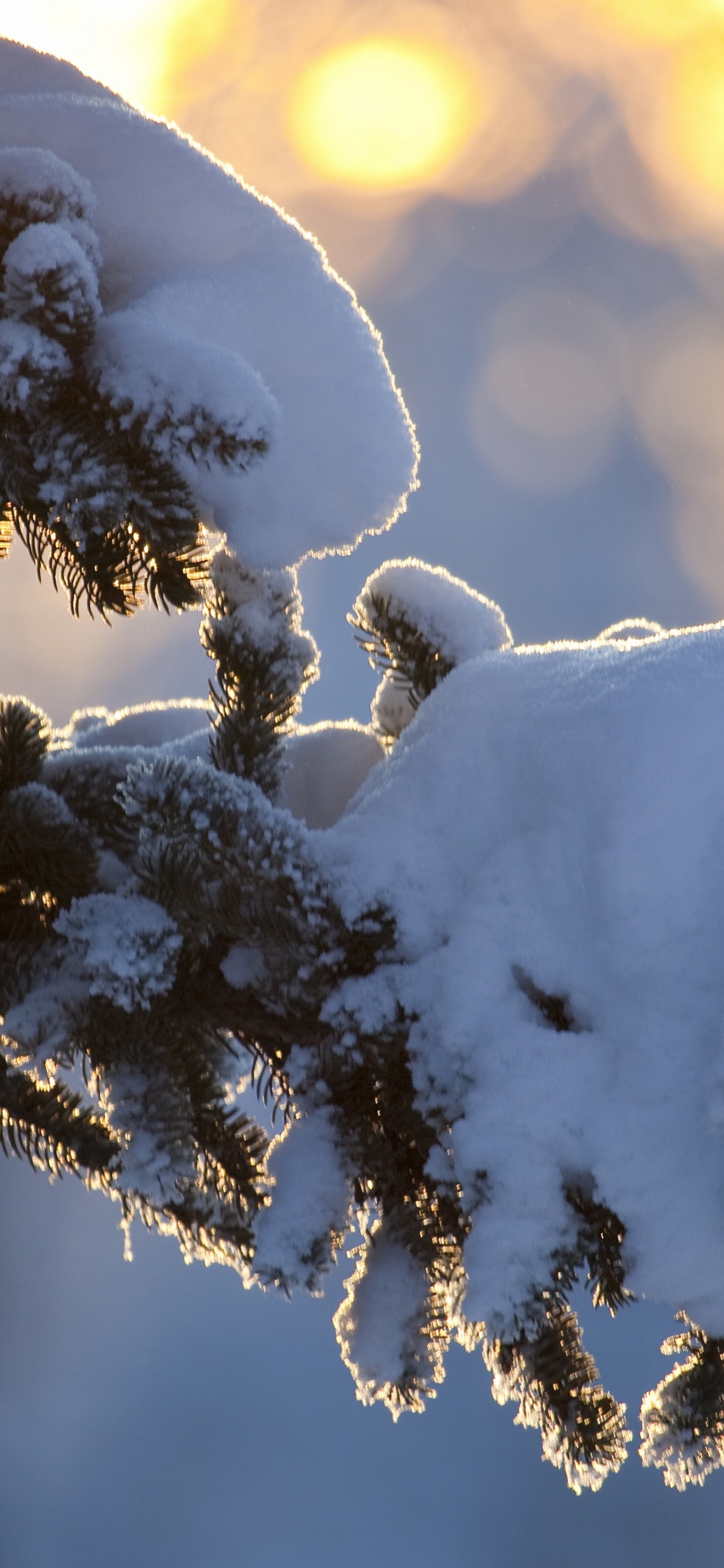 Winter, Kasachstan, Schnee, Niederschlag, Wetter. Wallpaper in 1242x2688 Resolution