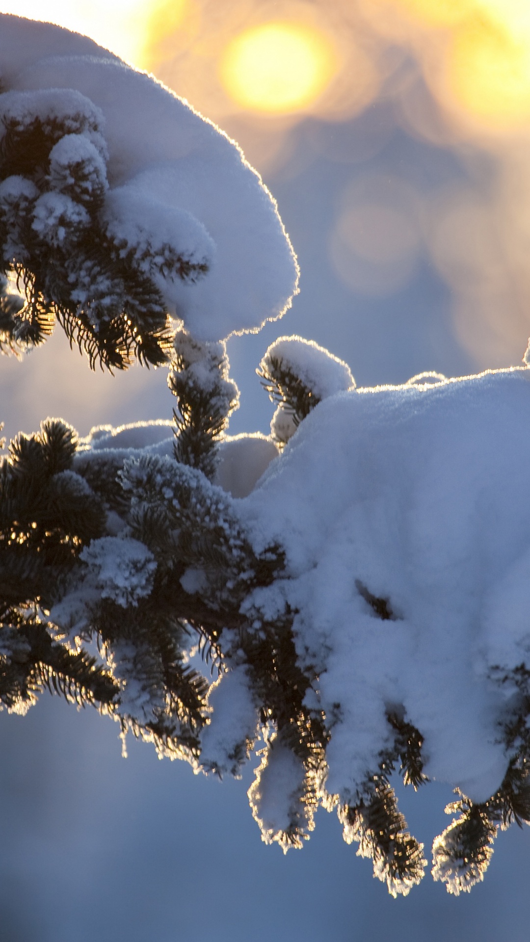 Winter, Kazakhstan, Snow, Precipitation, Weather. Wallpaper in 1080x1920 Resolution