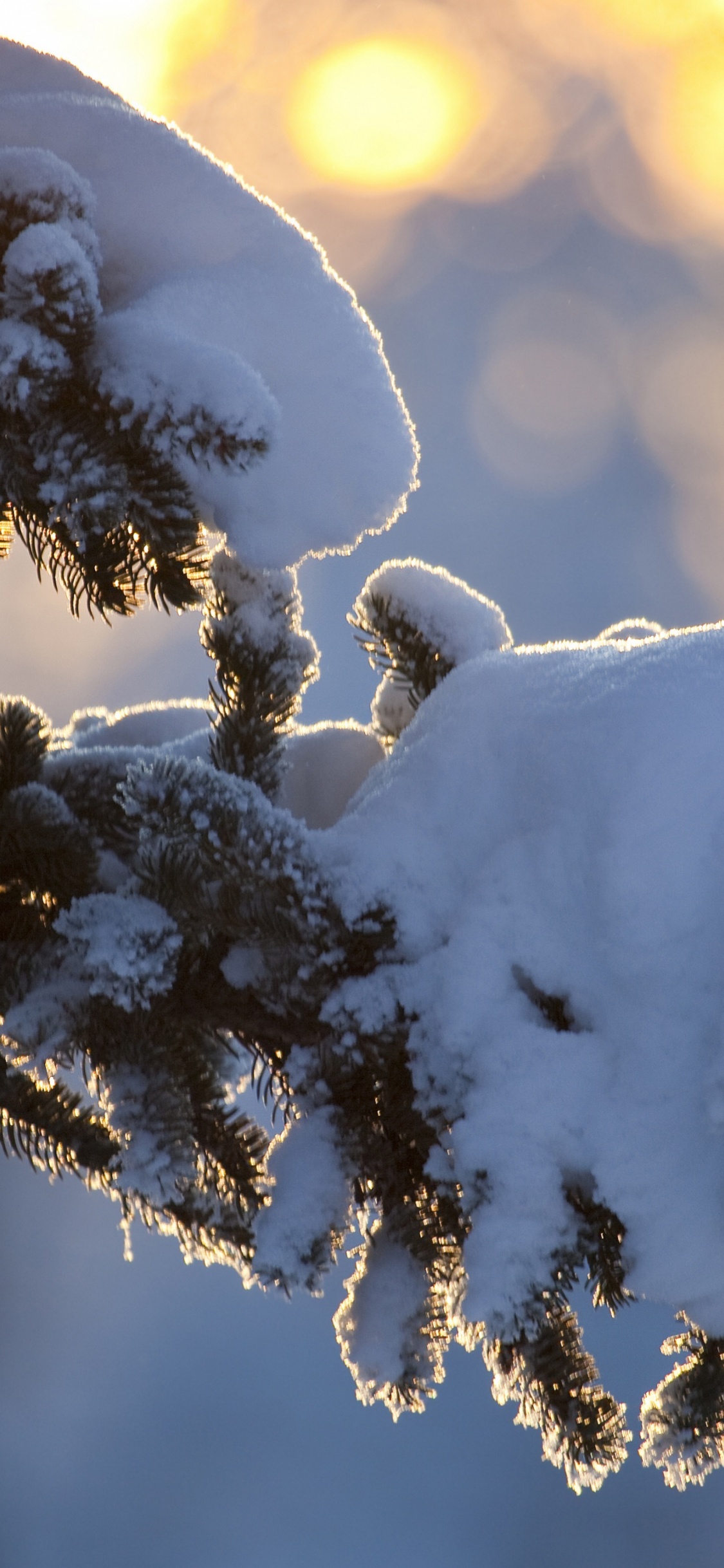 Winter, Kazakhstan, Snow, Precipitation, Weather. Wallpaper in 1125x2436 Resolution