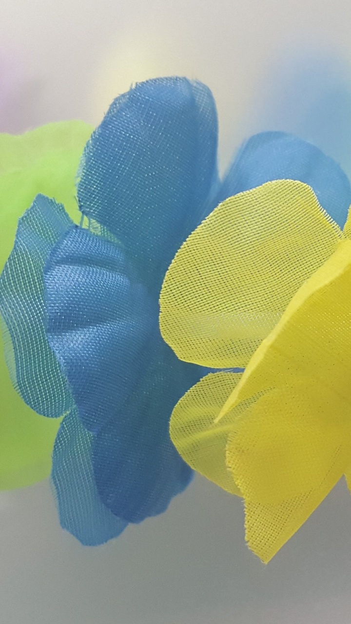 Hawaii, Lei, Party, Hawaiian Language, Yellow. Wallpaper in 720x1280 Resolution