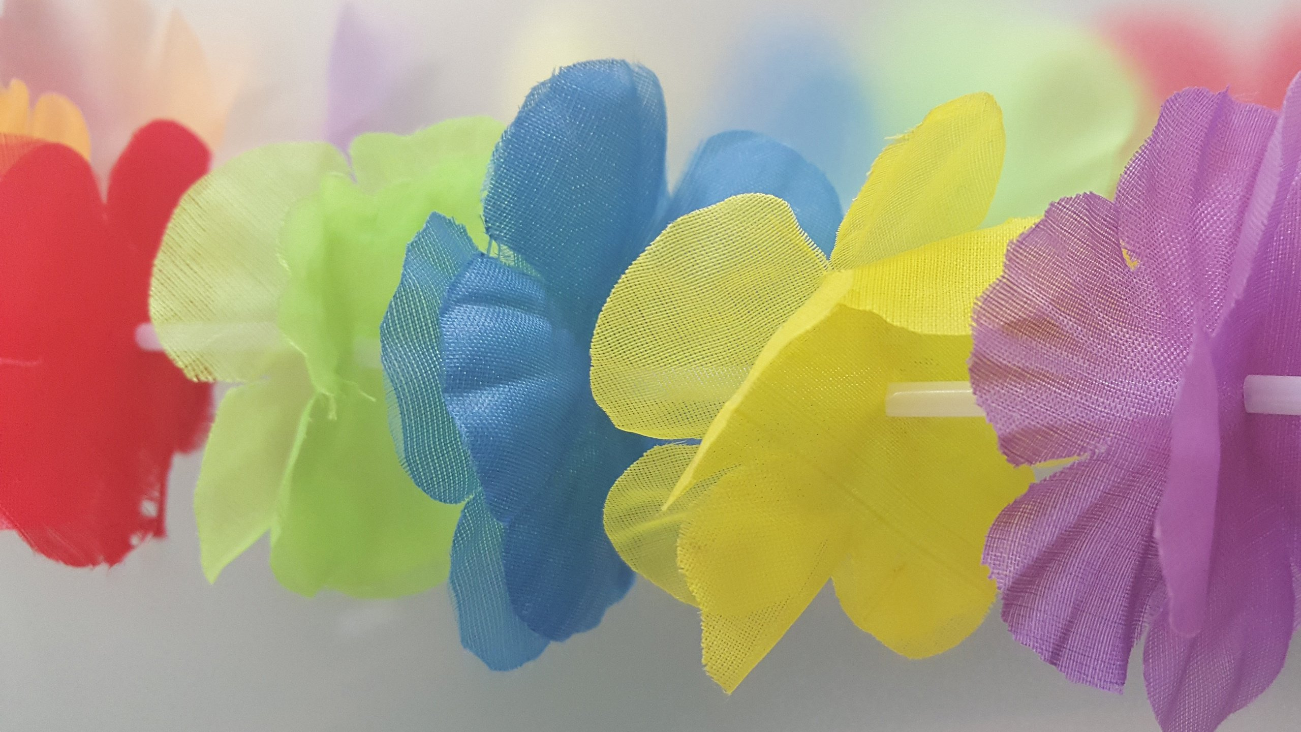 Hawaii, Lei, Partei, Hawaiianische Sprache, Gelb. Wallpaper in 2560x1440 Resolution