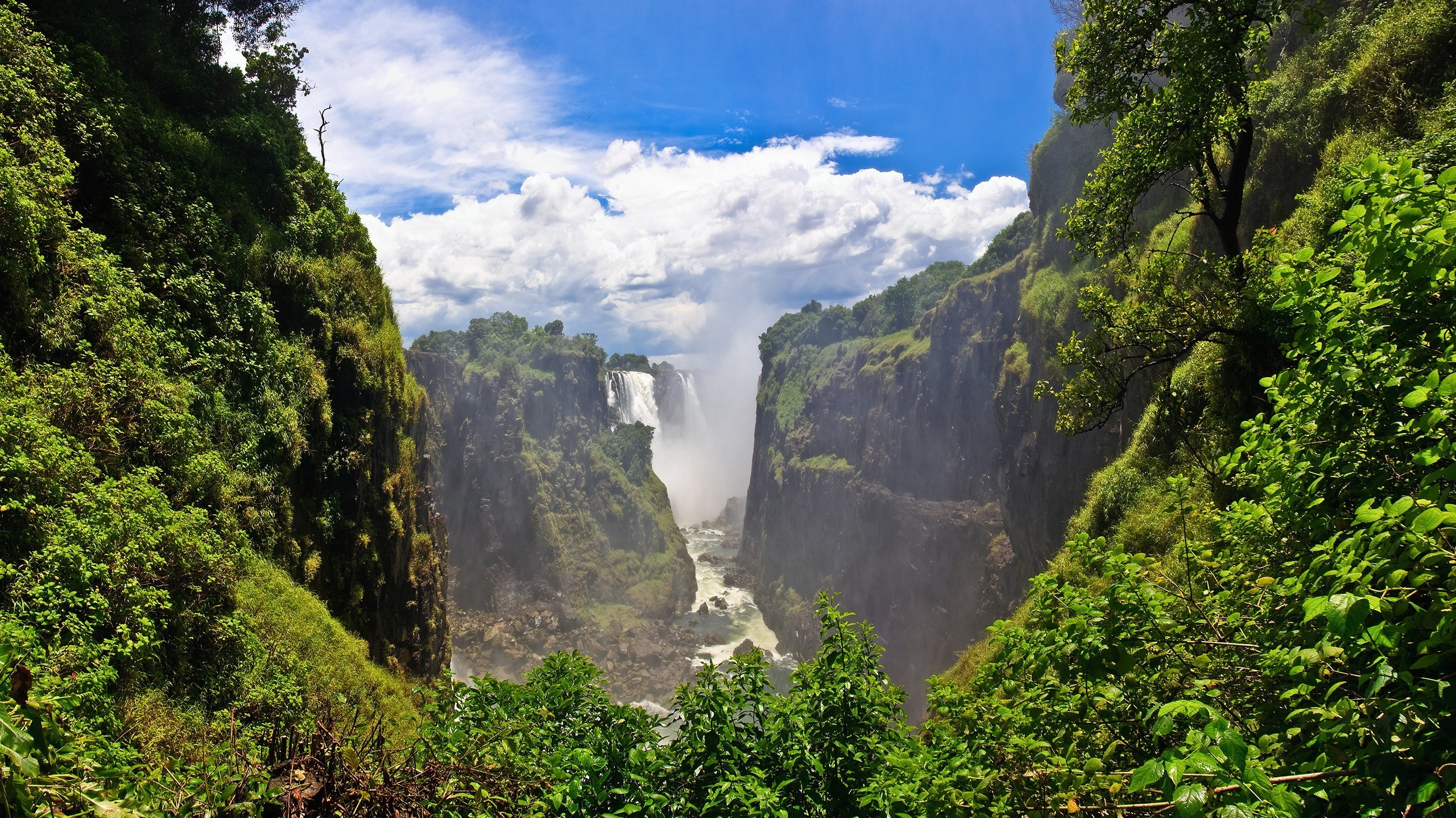Grüne Bäume am Berg Unter Blauem Himmel Tagsüber Blue. Wallpaper in 2560x1440 Resolution