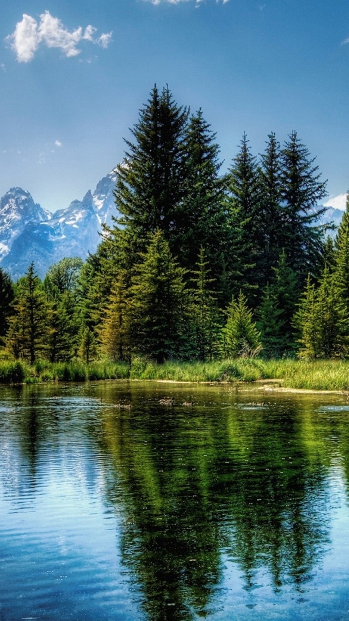 Green Trees Near Lake Under Blue Sky During Daytime. Wallpaper in 720x1280 Resolution