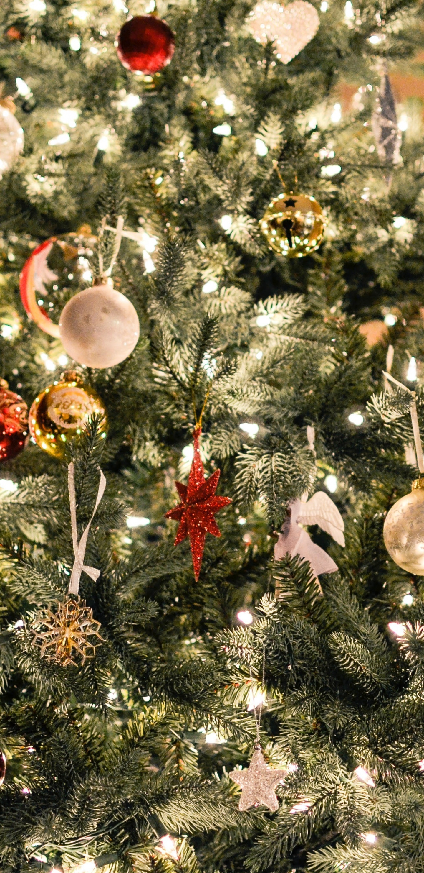 Weihnachtsbaum, Weihnachten, Weihnachtsdekoration, Baum, Christmas Ornament. Wallpaper in 1440x2960 Resolution