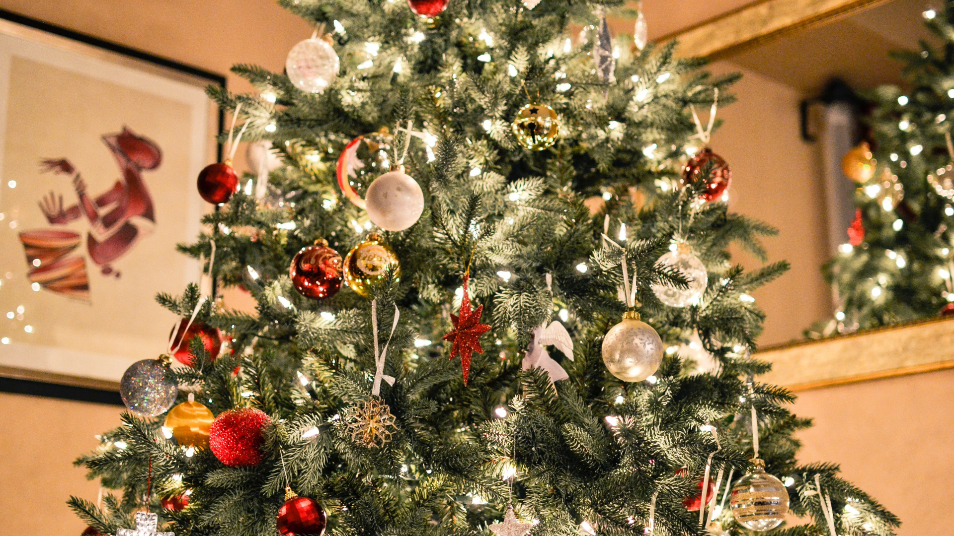 Christmas Tree, Christmas Day, Christmas Decoration, Tree, Holiday. Wallpaper in 1920x1080 Resolution