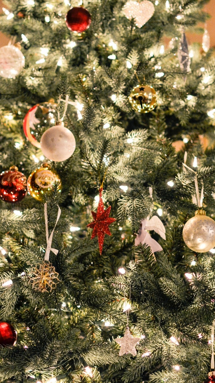 Christmas Tree, Christmas Day, Christmas Decoration, Tree, Holiday. Wallpaper in 720x1280 Resolution