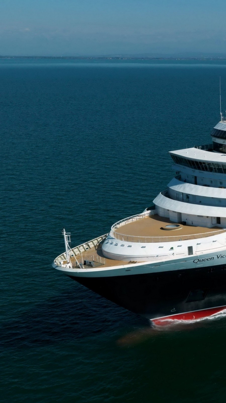 White and Black Cruise Ship on Sea During Daytime. Wallpaper in 750x1334 Resolution