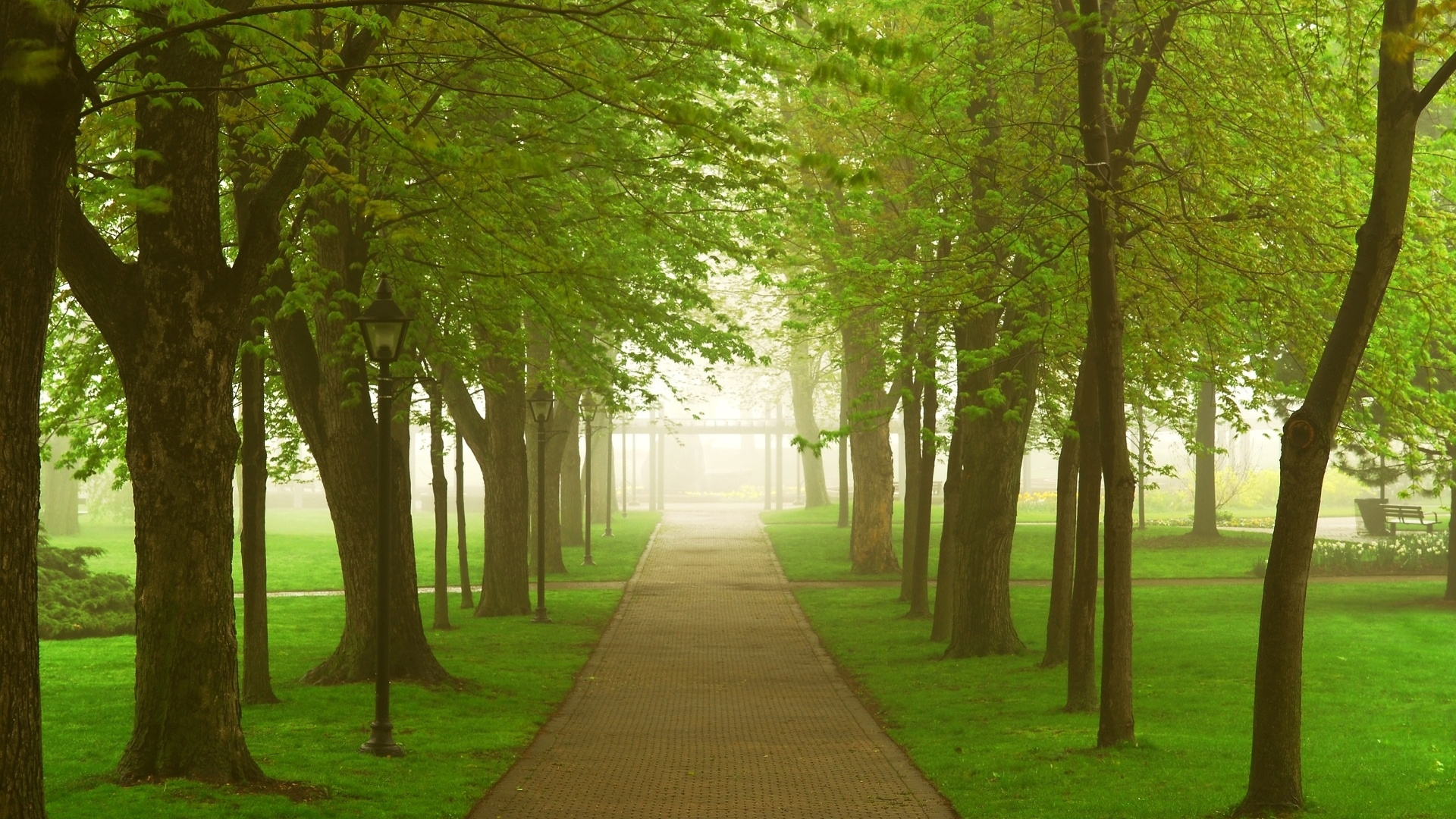 Brown Wooden Pathway Between Green Grass and Trees During Daytime. Wallpaper in 1920x1080 Resolution