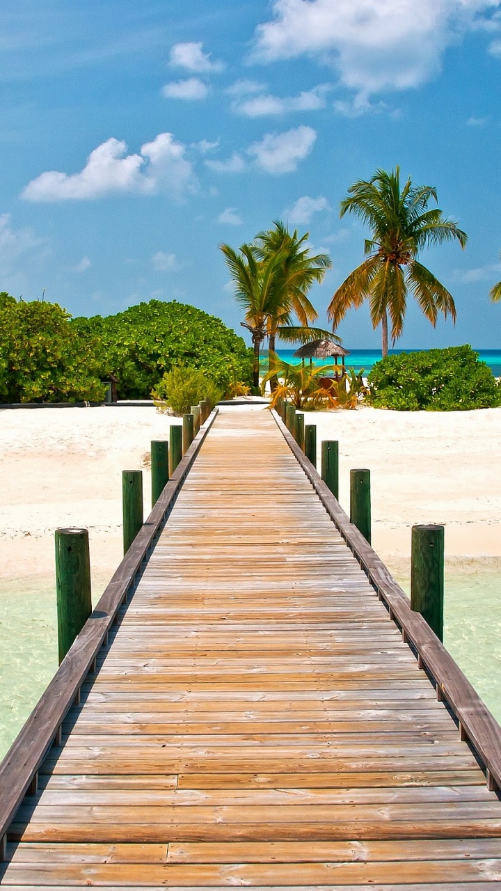Brown Wooden Dock on Beach During Daytime. Wallpaper in 720x1280 Resolution