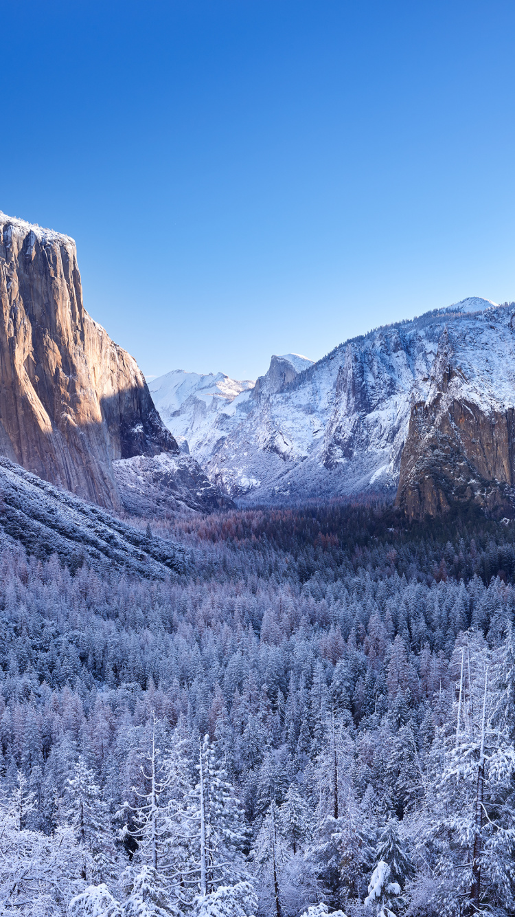 Yosemite National Park, Yosemite Valley, El Capitan, Glacier Point, Nationalpark. Wallpaper in 750x1334 Resolution