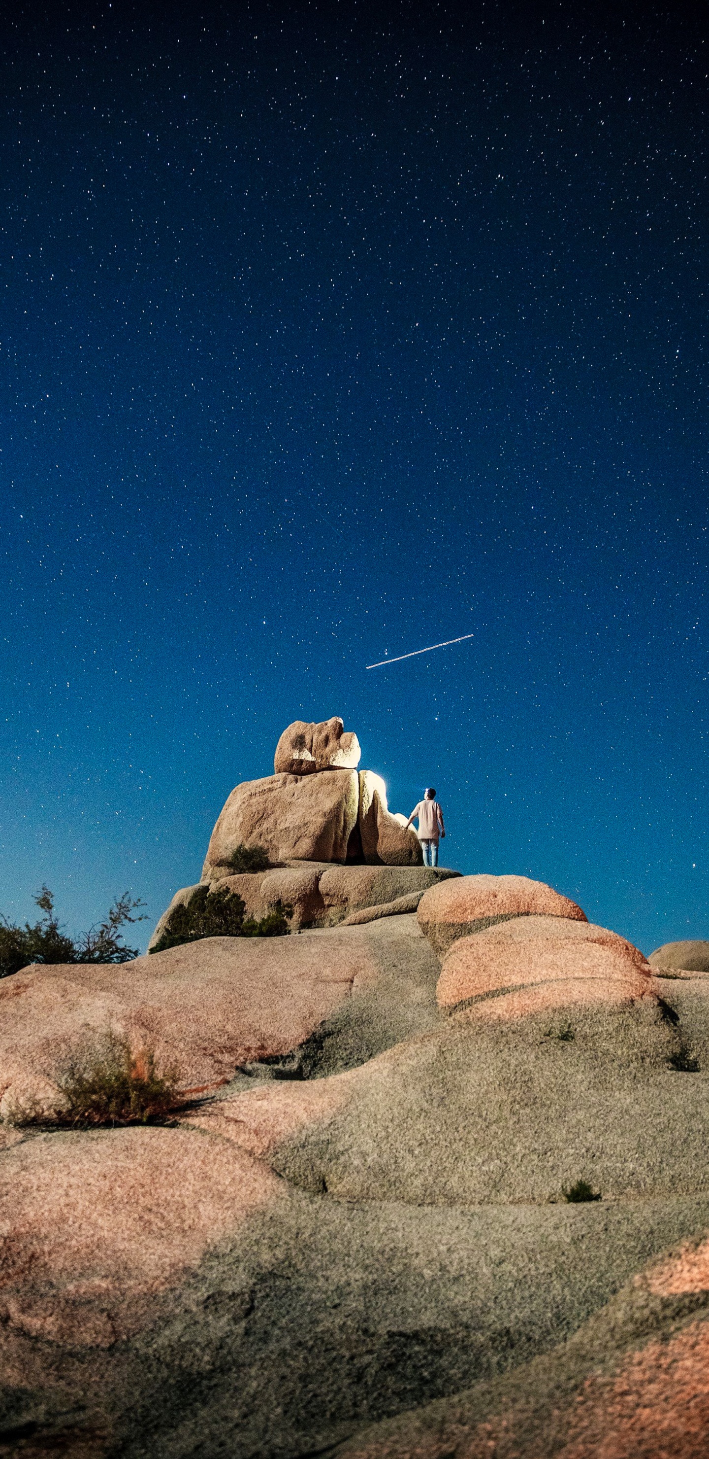 el Parque Nacional Joshua Tree, el Parque Nacional De, Parque, Manzana, Ecorregión. Wallpaper in 1440x2960 Resolution