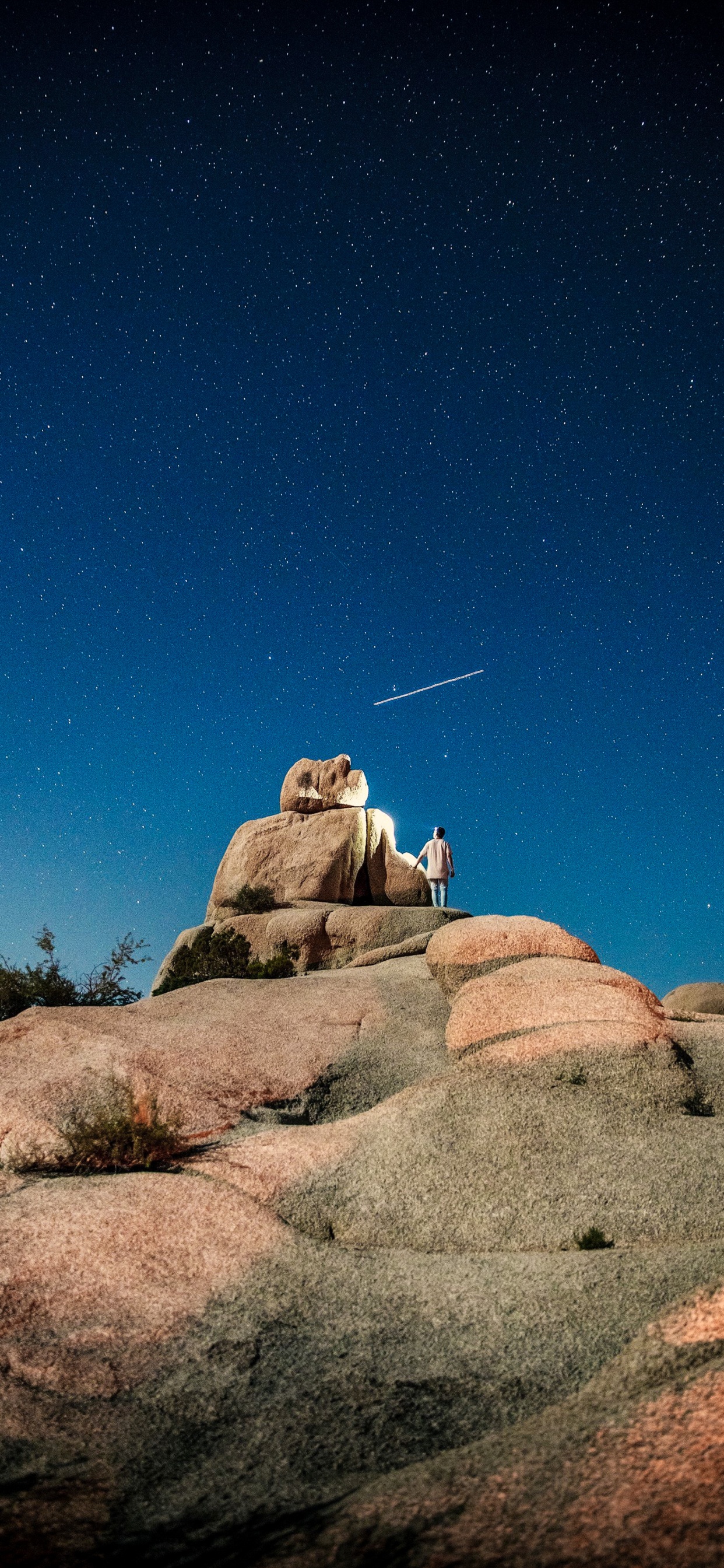 Joshua Tree National Park, Nationalpark, Park, Äpfeln, Ökoregion. Wallpaper in 1242x2688 Resolution