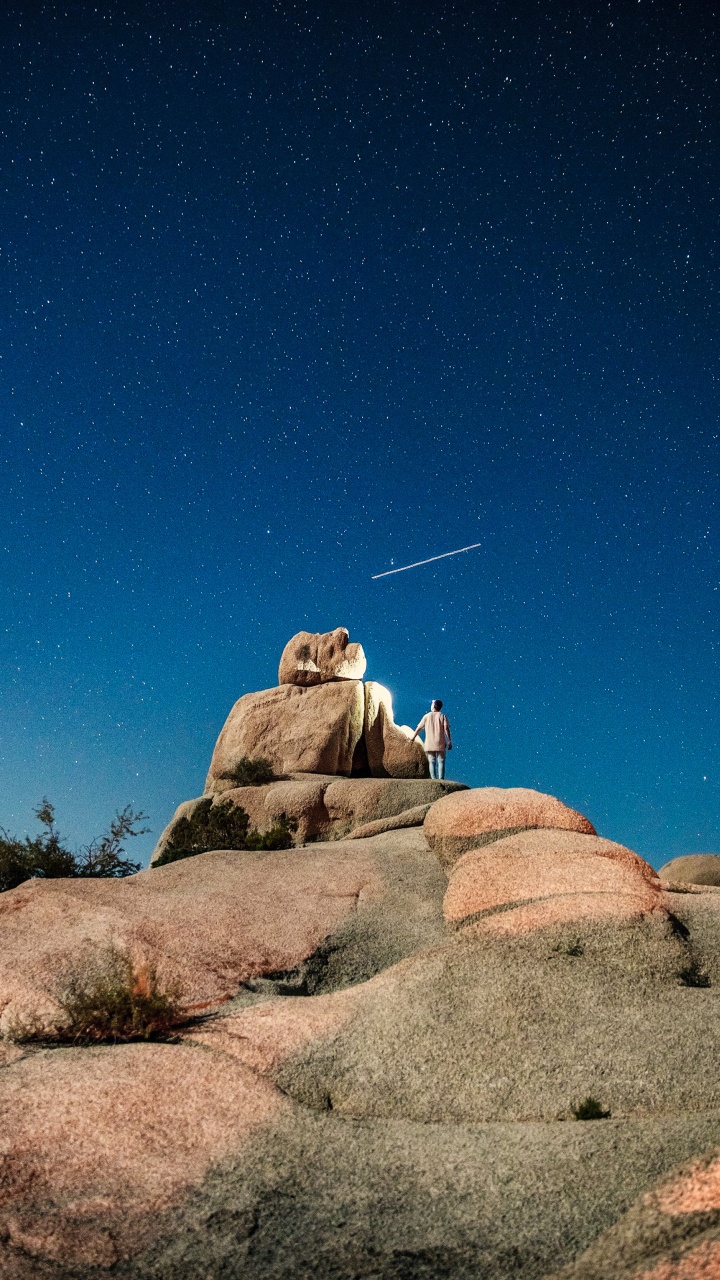 Joshua Tree National Park, Nationalpark, Park, Äpfeln, Ökoregion. Wallpaper in 720x1280 Resolution
