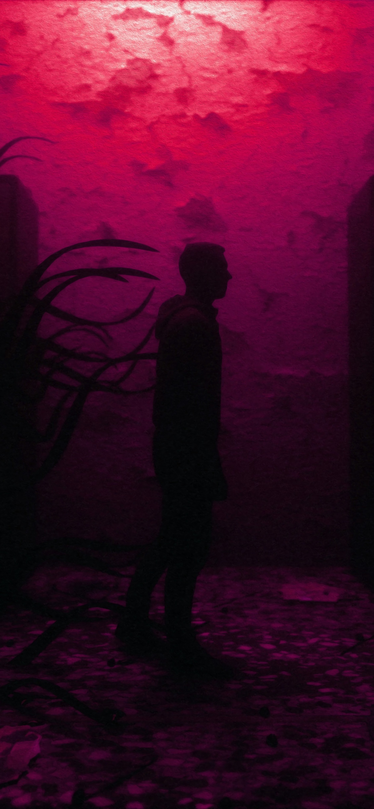 Silhouette de Personne Debout Sur le Sol. Wallpaper in 1242x2688 Resolution