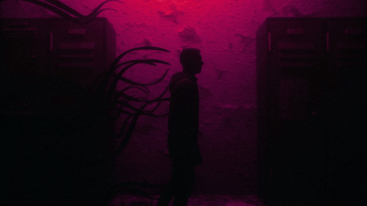 Silhouette of Person Standing on The Floor. Wallpaper in 1280x720 Resolution