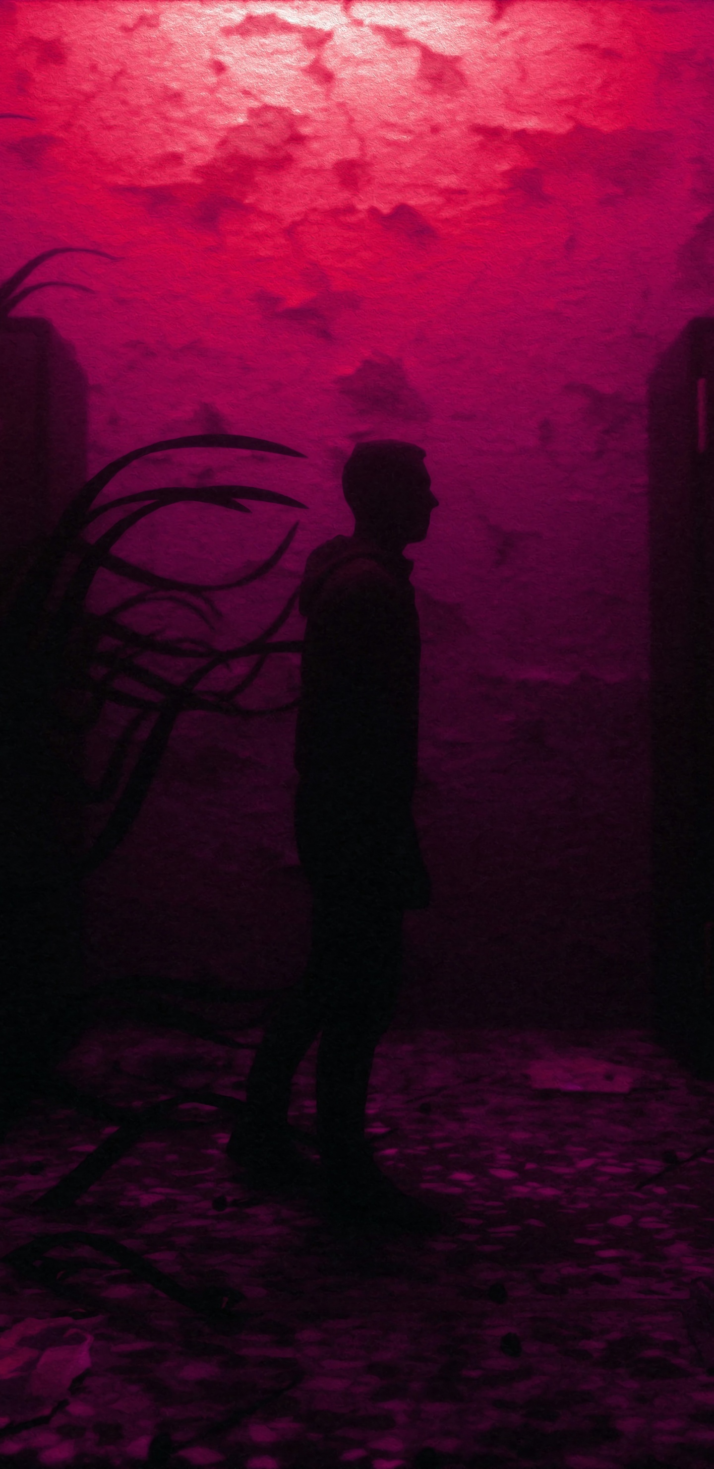 Silhouette of Person Standing on The Floor. Wallpaper in 1440x2960 Resolution