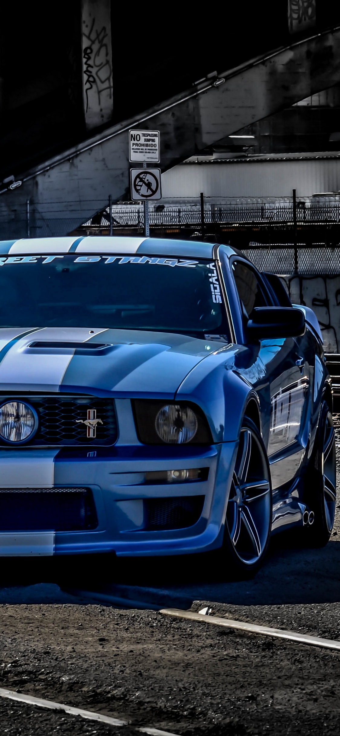 Roue, Pneu, Grille, Capuchon, Automobile Pneu. Wallpaper in 1125x2436 Resolution