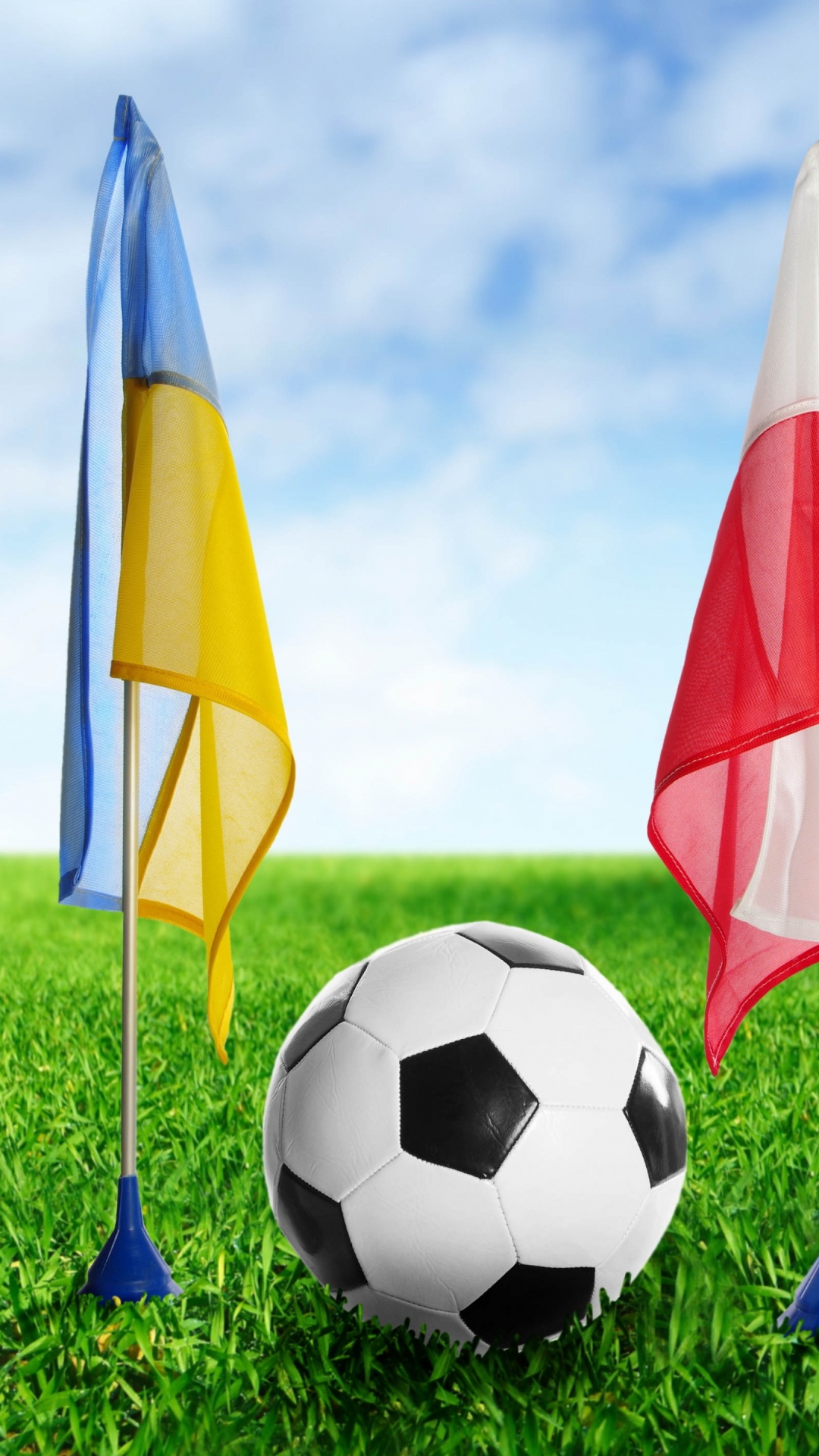 White Red and Yellow Flag on Green Grass Field During Daytime. Wallpaper in 1080x1920 Resolution