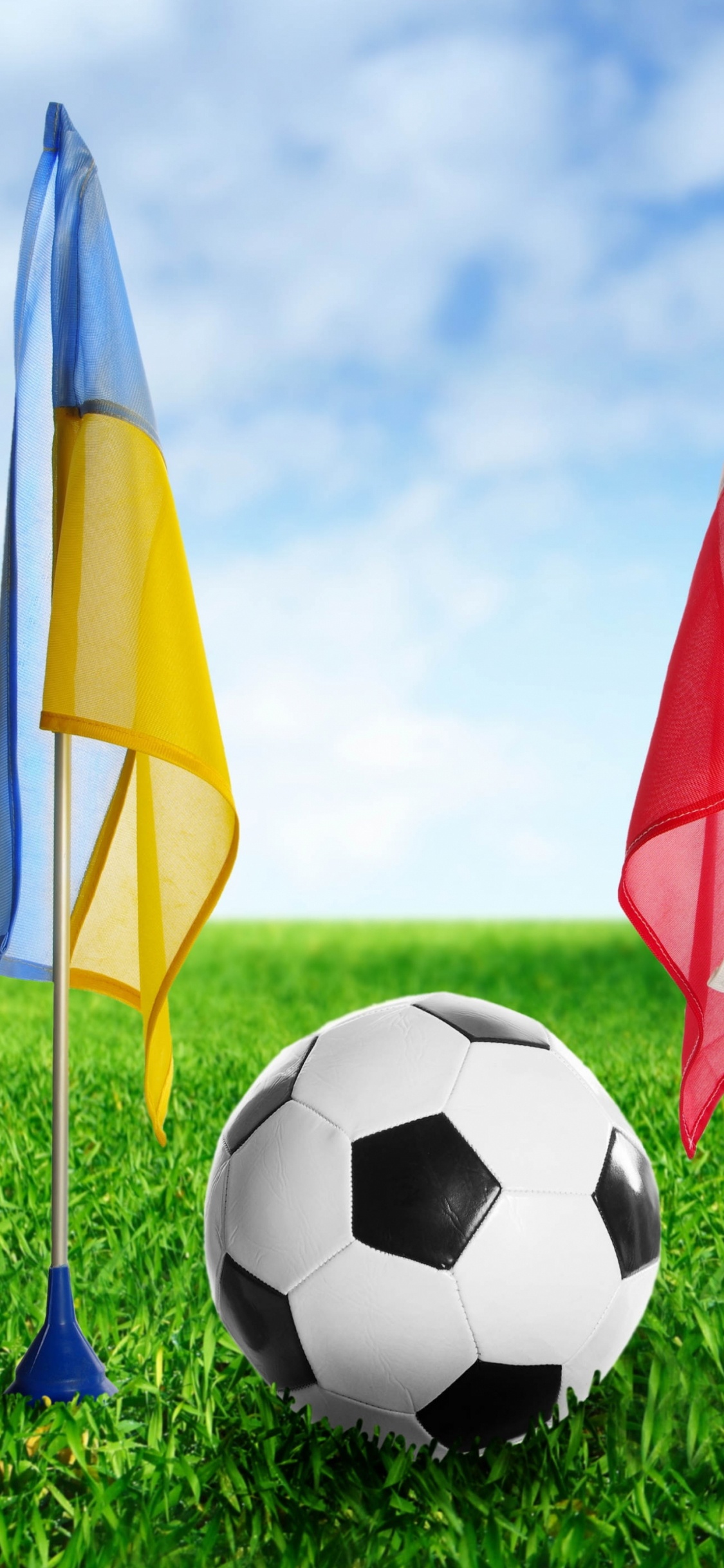 White Red and Yellow Flag on Green Grass Field During Daytime. Wallpaper in 1125x2436 Resolution