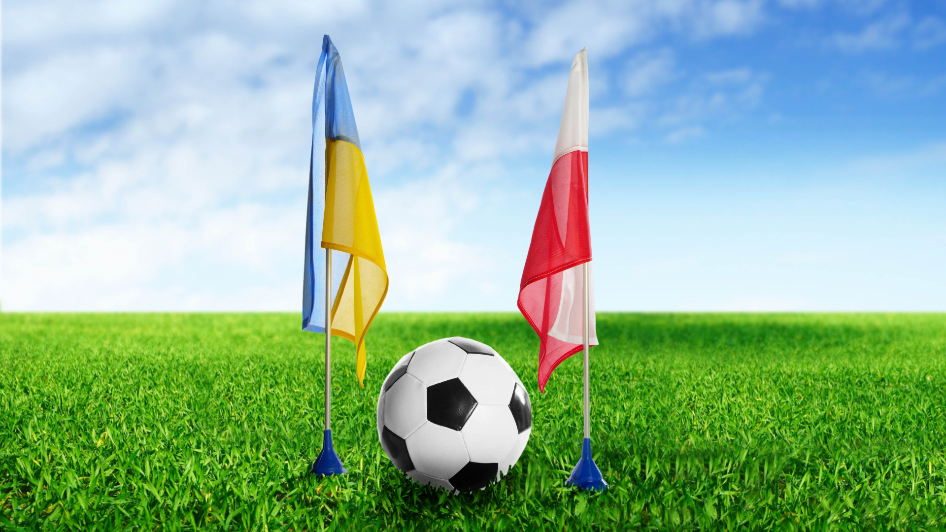 White Red and Yellow Flag on Green Grass Field During Daytime. Wallpaper in 1920x1080 Resolution