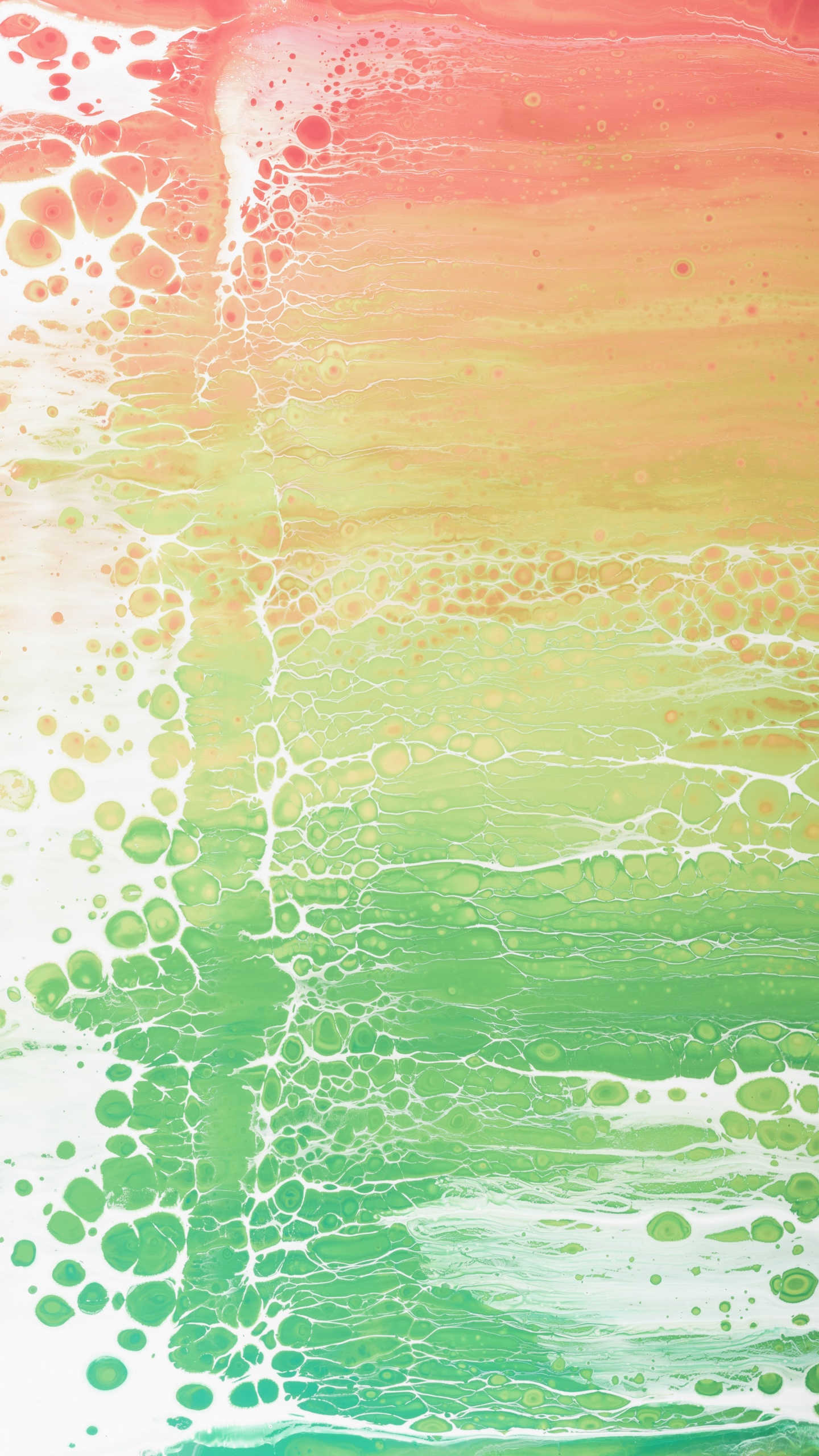 Green and White Abstract Painting. Wallpaper in 1440x2560 Resolution
