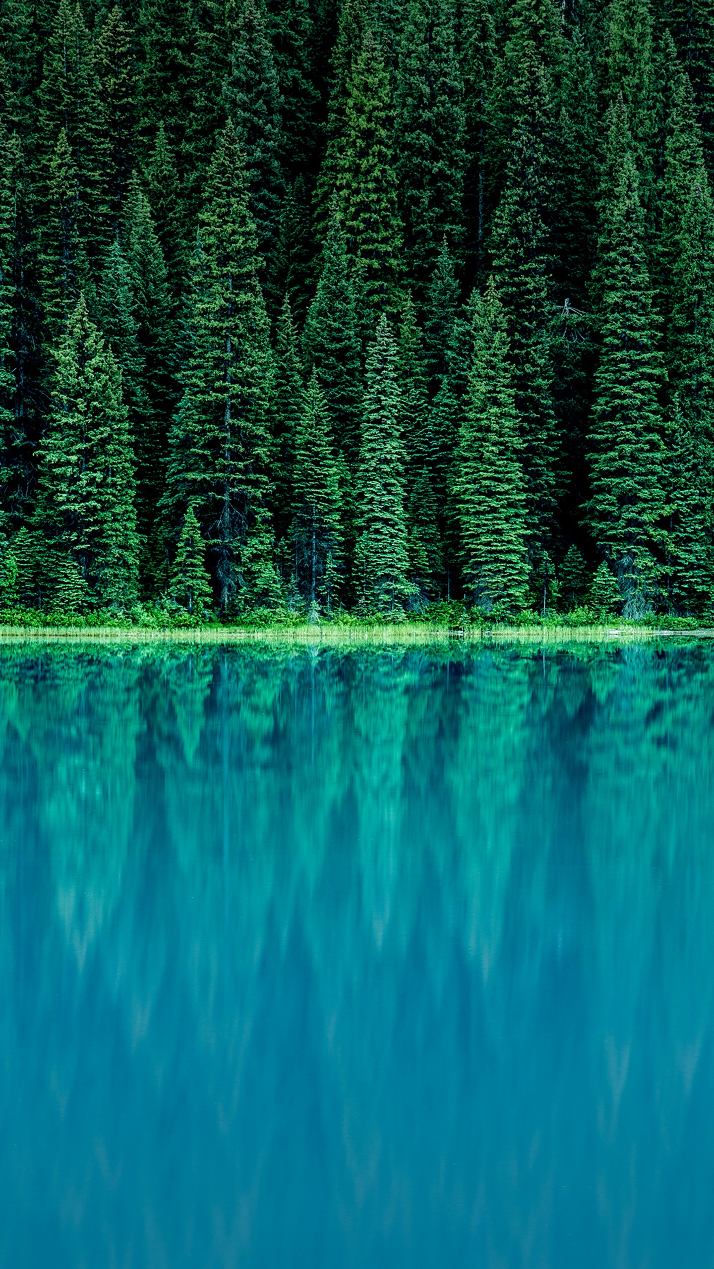 LG, LG G6, Corporate Finance, Fundamentals of Corporate Finance, Finance. Wallpaper in 1440x2560 Resolution