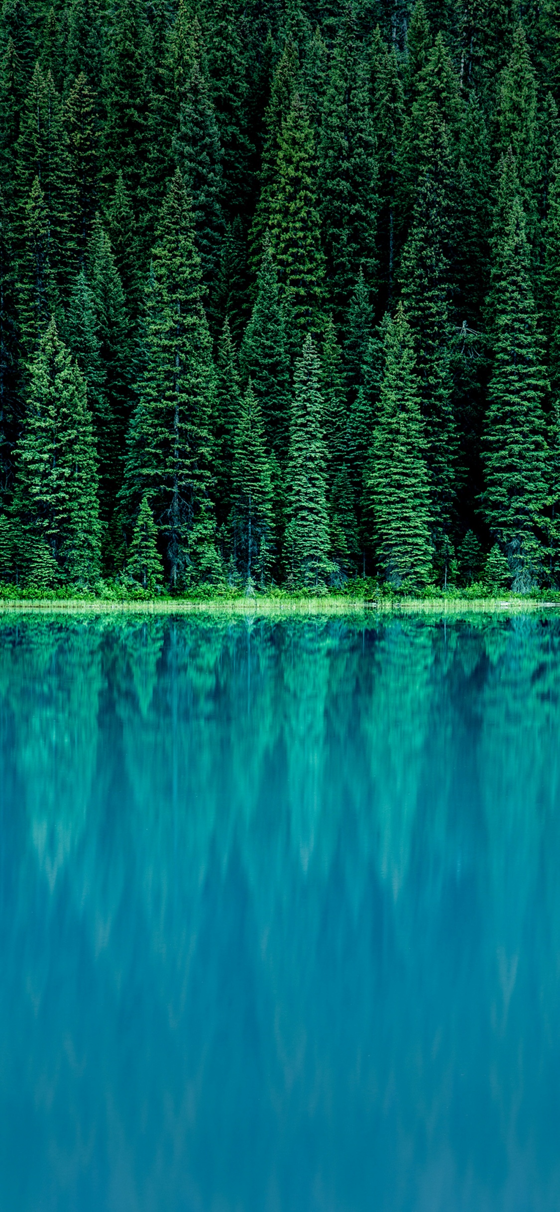 LG, LG G6, Finance D'entreprise, Fondamentaux de la Finance D'entreprise, Finance. Wallpaper in 1125x2436 Resolution