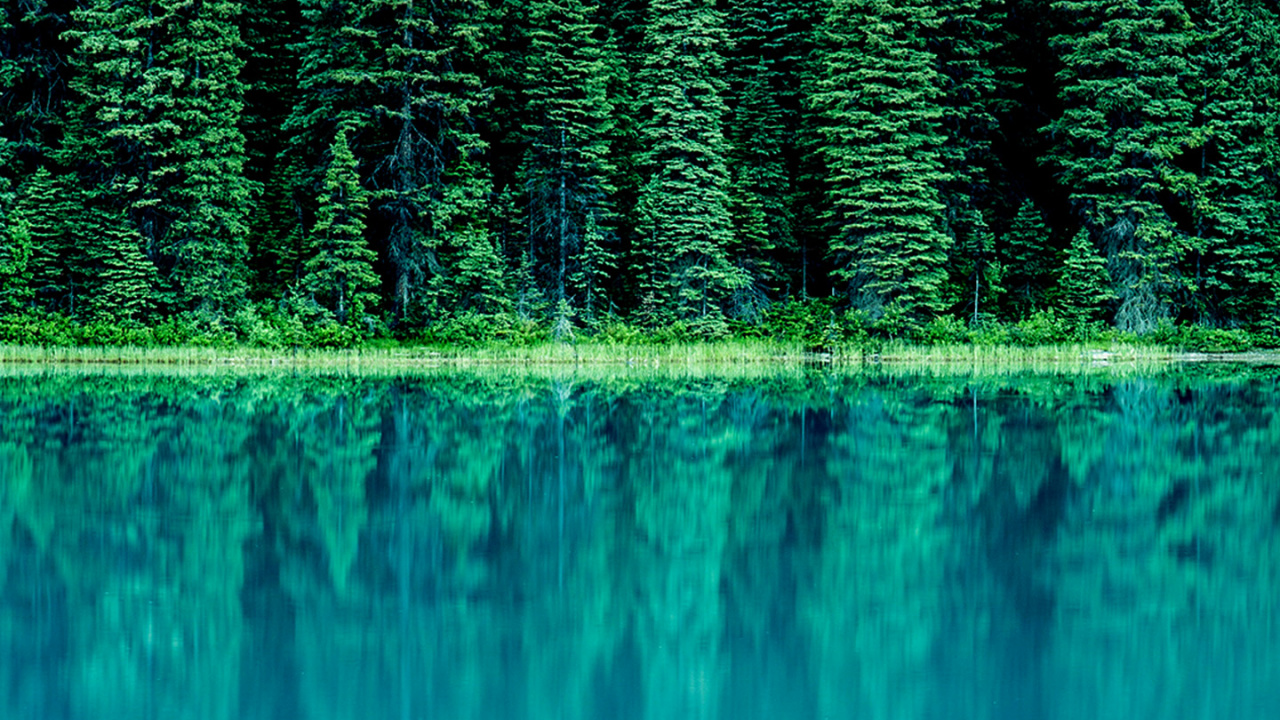 LG, LG G6, Finance D'entreprise, Fondamentaux de la Finance D'entreprise, Finance. Wallpaper in 1280x720 Resolution