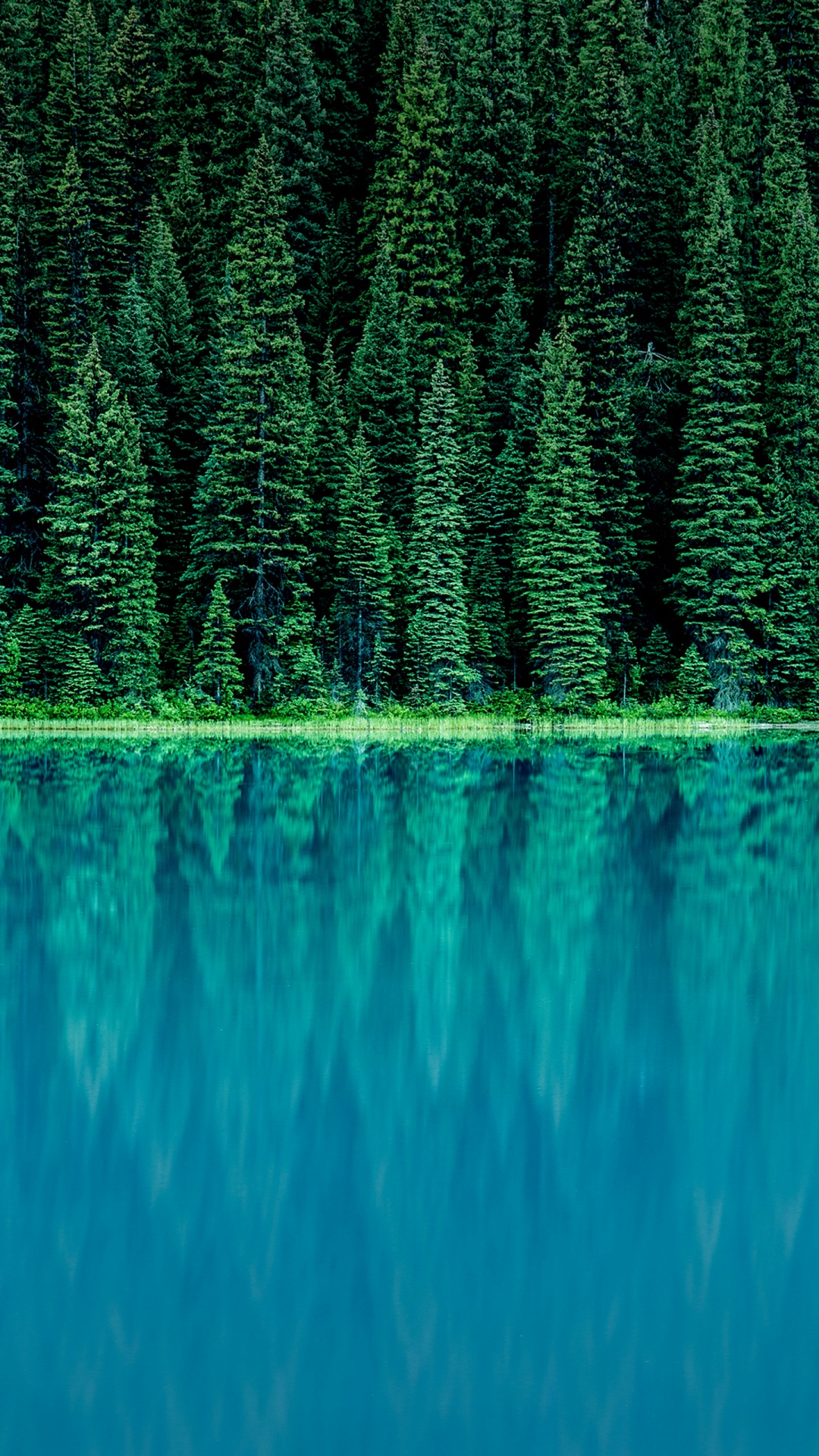 LG, LG G6, Unternehmensfinanzierung, Grundlagen Der Unternehmensfinanzierung, Finanzen. Wallpaper in 1080x1920 Resolution