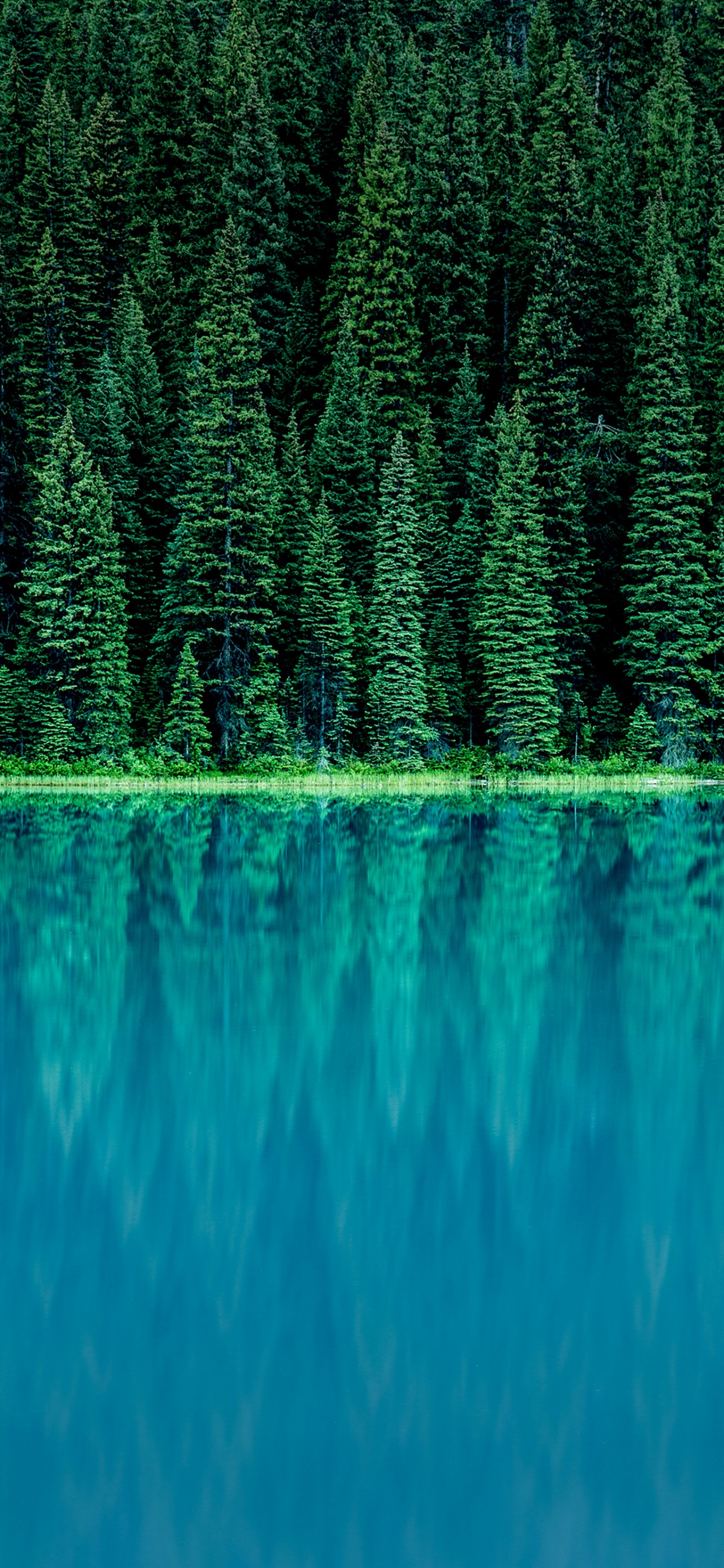 LG, LG G6, Unternehmensfinanzierung, Grundlagen Der Unternehmensfinanzierung, Finanzen. Wallpaper in 1242x2688 Resolution