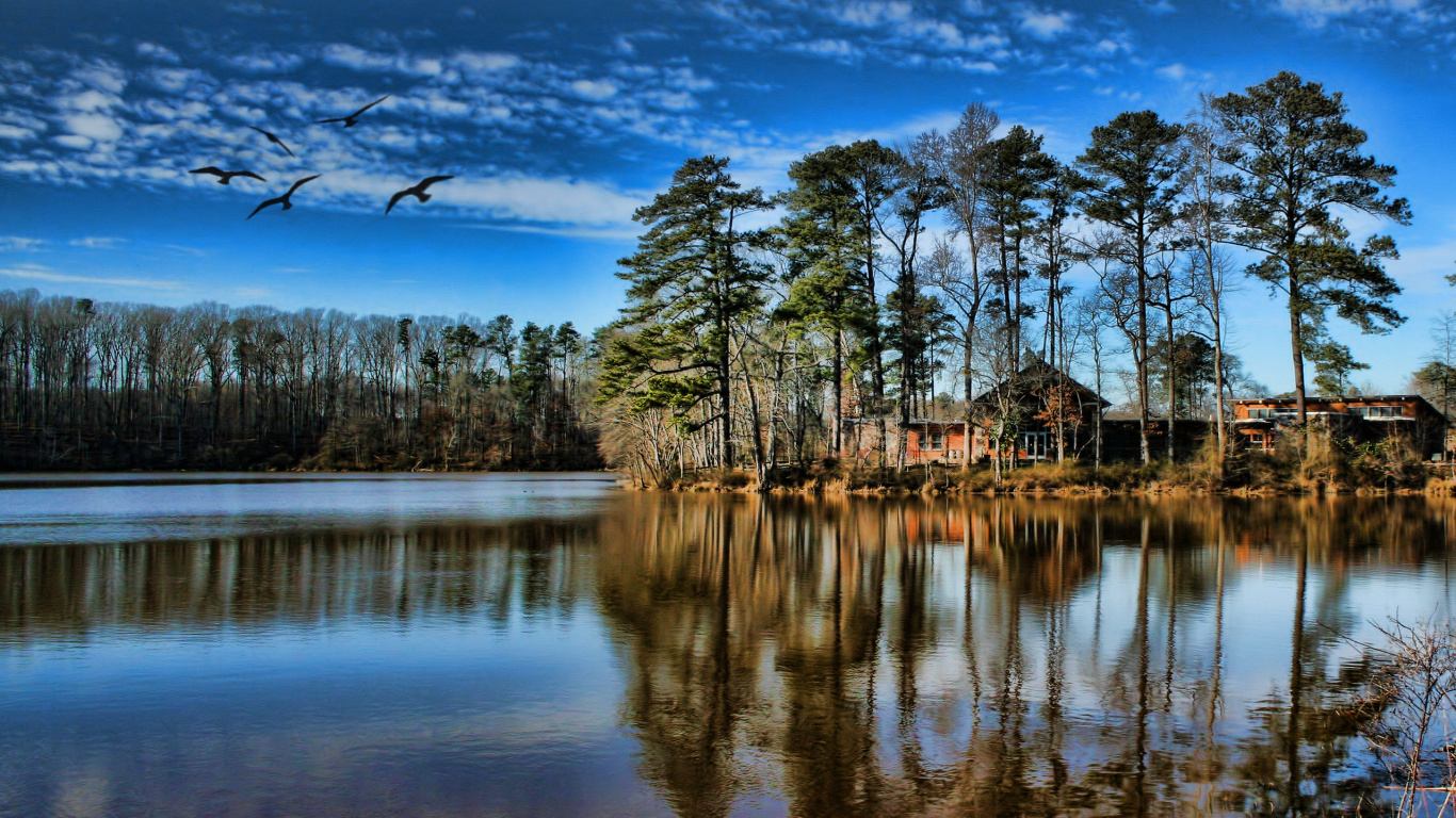 反射, 性质, 荒野, 联想K8 Note, 相框 壁纸 1366x768 允许