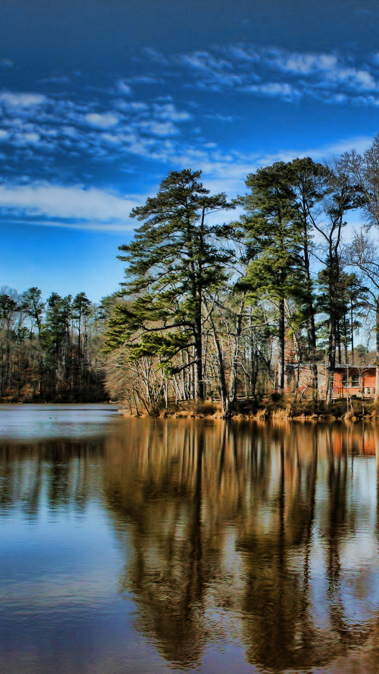 Arbres Verts à Côté D'un Plan D'eau Sous un Ciel Bleu Pendant la Journée. Wallpaper in 750x1334 Resolution