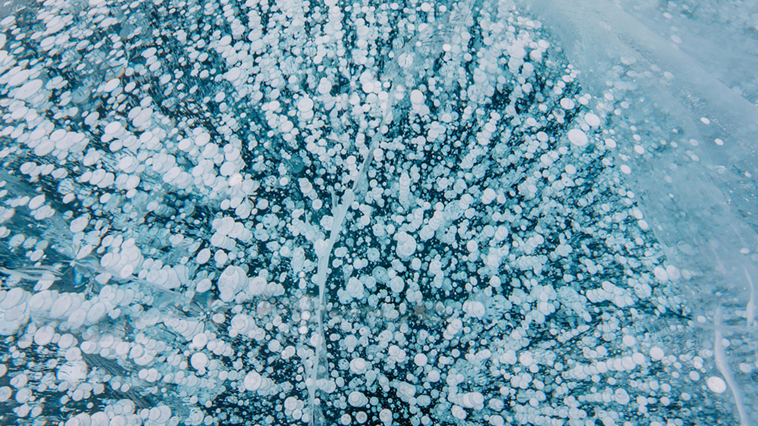 Plan D'eau Bleu Pendant la Journée. Wallpaper in 2560x1440 Resolution