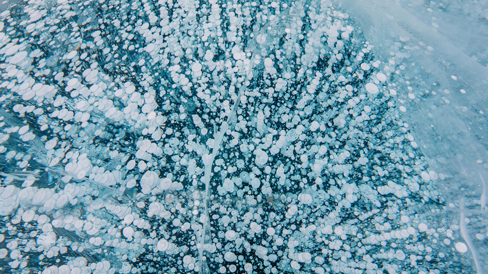 Blue Body of Water During Daytime. Wallpaper in 1920x1080 Resolution