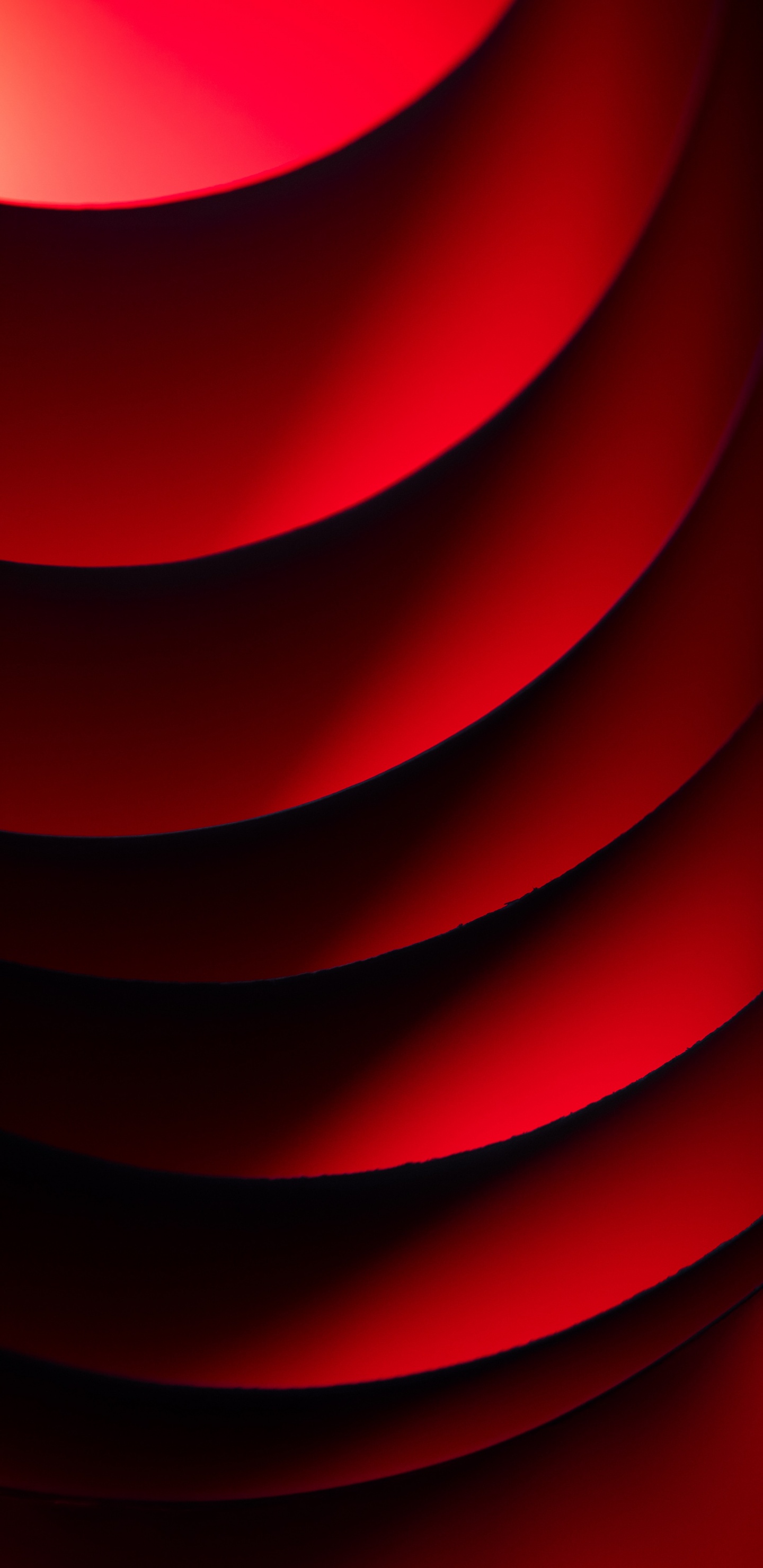 Matemáticas, Precálculo, Rosa, Arte, Rojo. Wallpaper in 1440x2960 Resolution