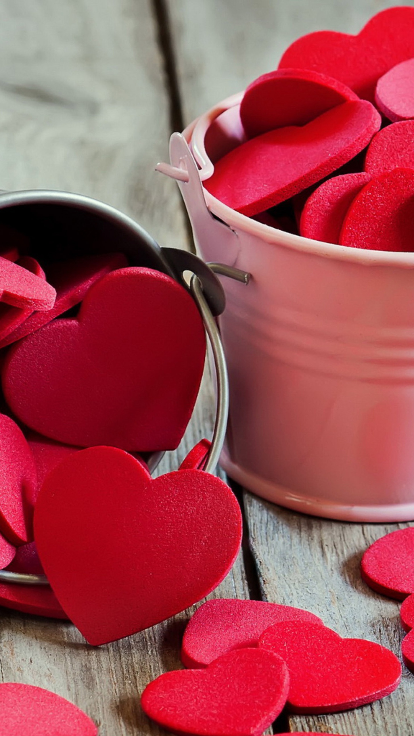 Amour, Cœur, Pétale, le Jour de Valentines, Poésie. Wallpaper in 1440x2560 Resolution