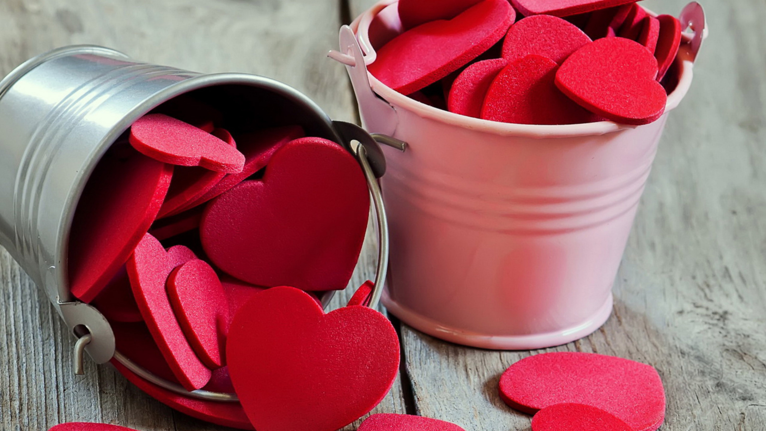 Love, Heart, Petal, Valentines Day, Romance. Wallpaper in 2560x1440 Resolution