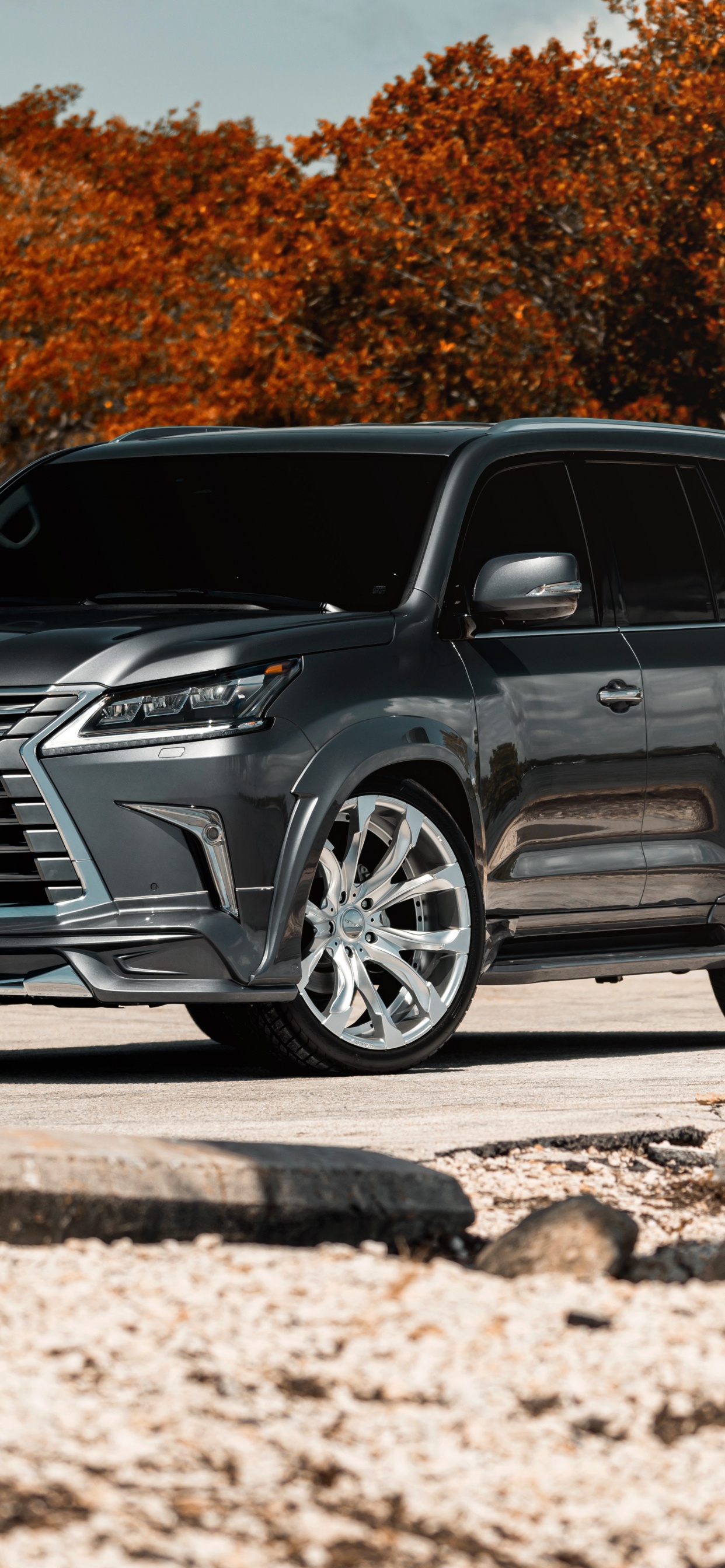 BMW Série x Noire Sur Bûche de Bois Marron. Wallpaper in 1242x2688 Resolution