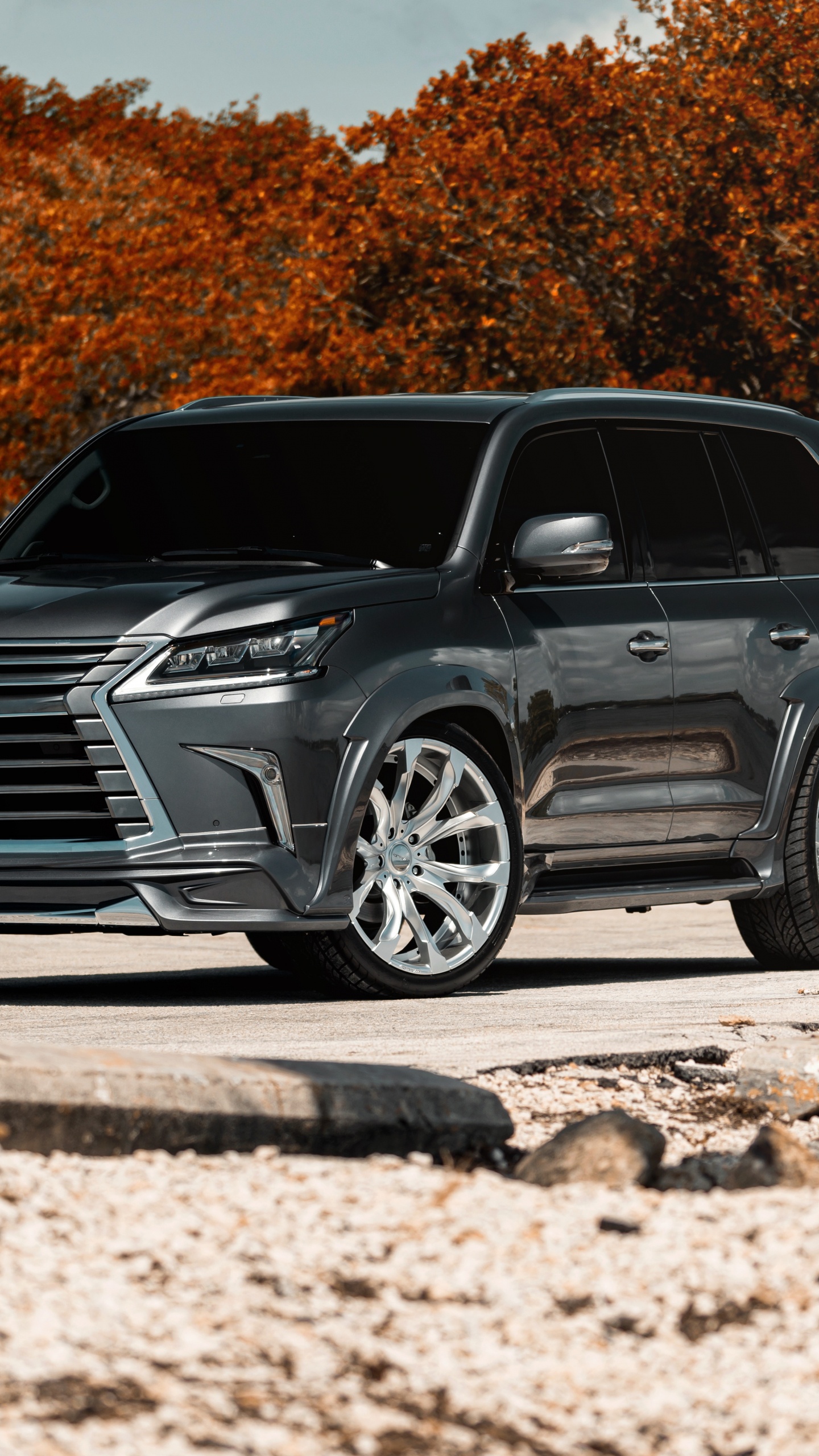 BMW Série x Noire Sur Bûche de Bois Marron. Wallpaper in 1440x2560 Resolution