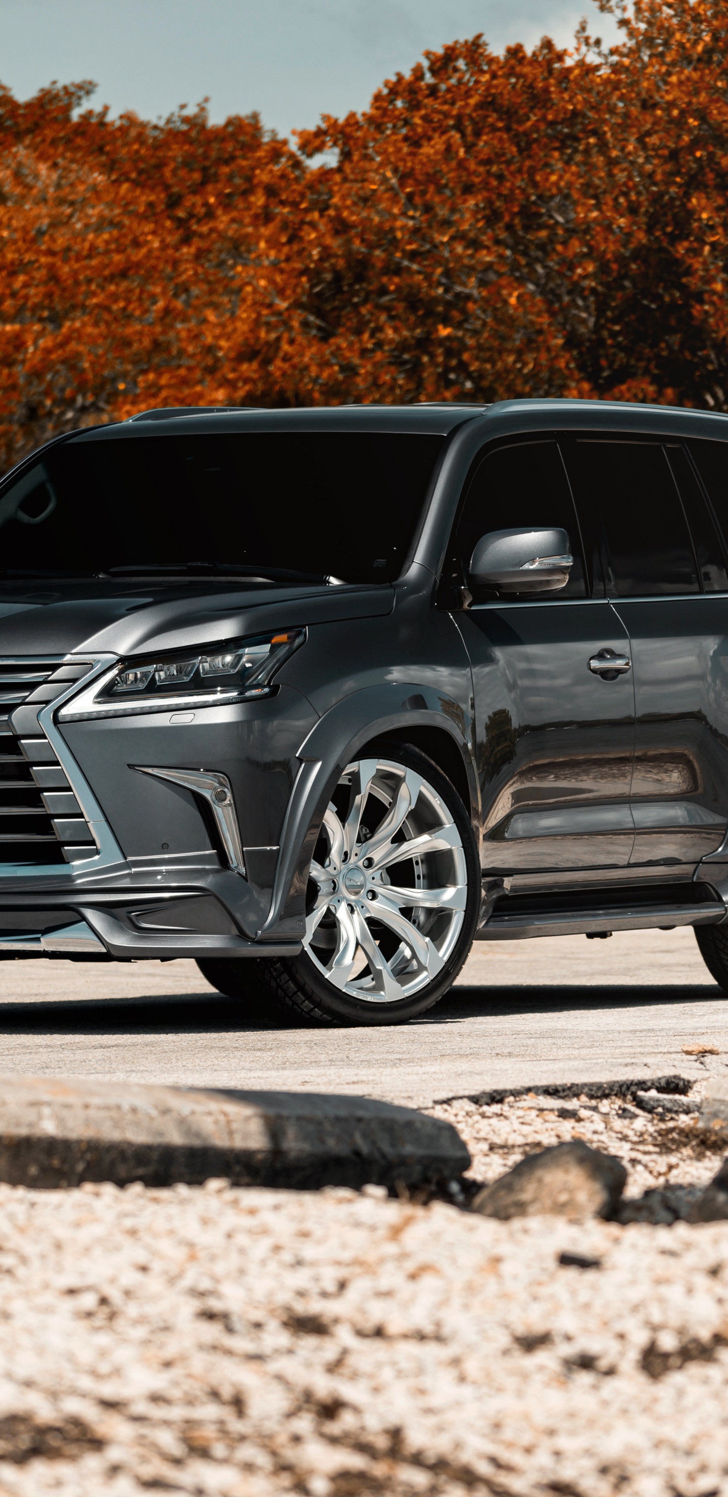 BMW Série x Noire Sur Bûche de Bois Marron. Wallpaper in 1440x2960 Resolution