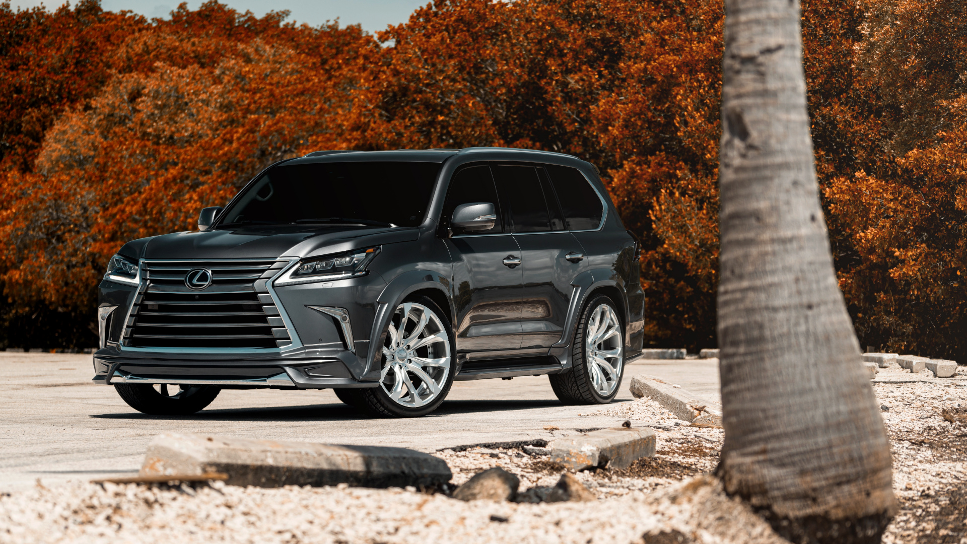 BMW Série x Noire Sur Bûche de Bois Marron. Wallpaper in 1920x1080 Resolution