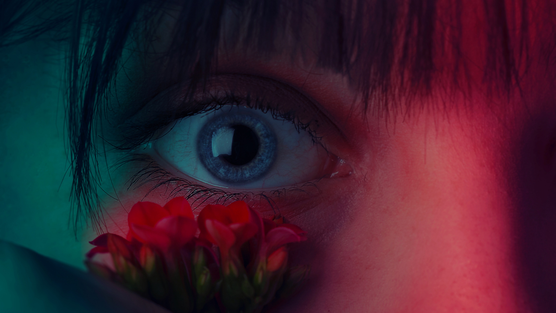 Fille Avec Une Fleur Rouge Sur Son Visage. Wallpaper in 1920x1080 Resolution