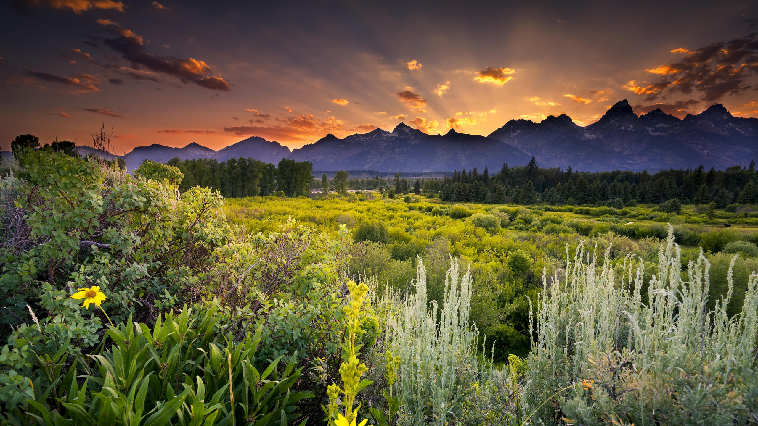 Green Grass Field Near Mountain During Daytime. Wallpaper in 2560x1440 Resolution